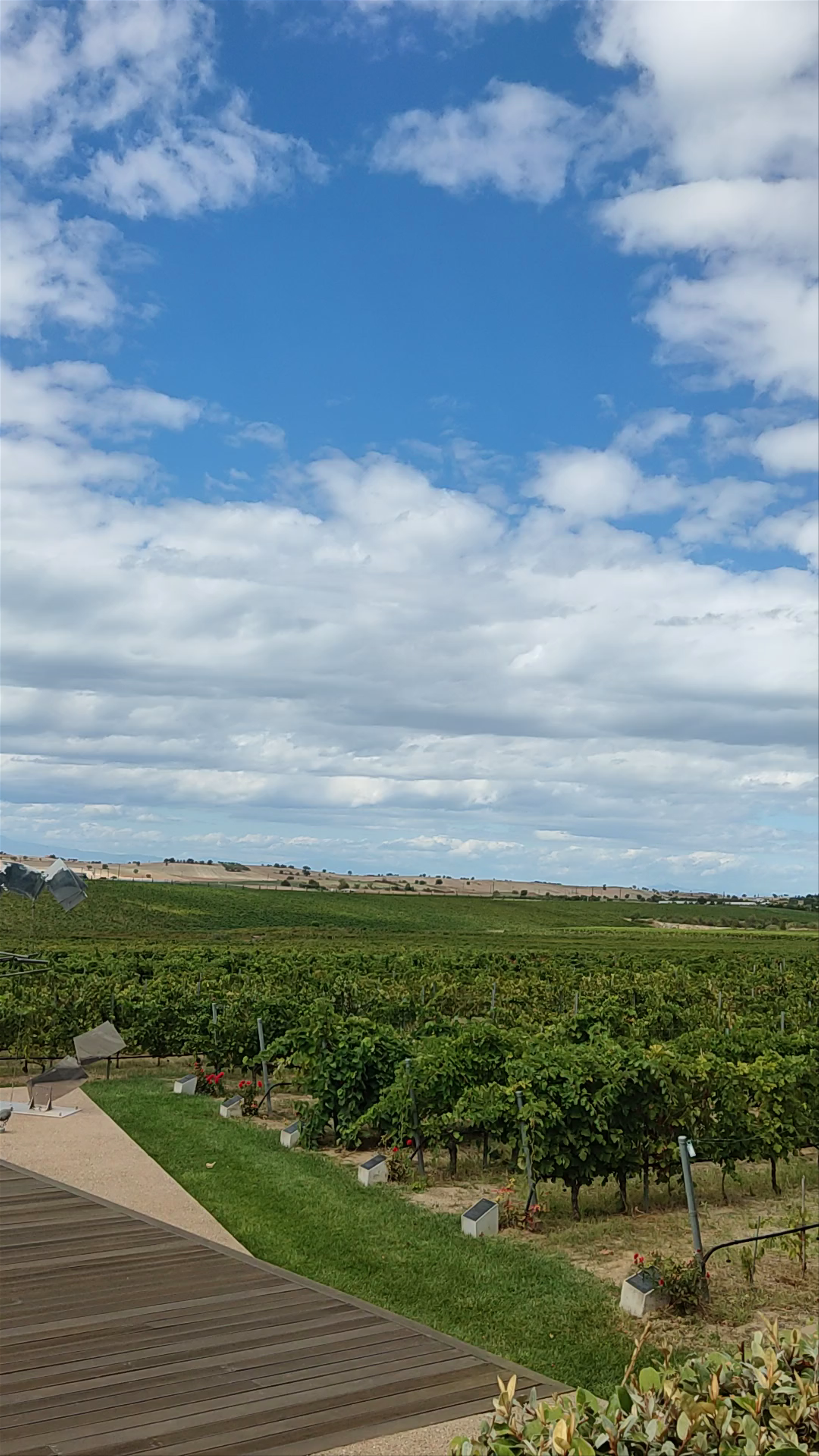 Ktima Gerovassiliou Vineyard: A Serene Escape in Epanomi, Greece