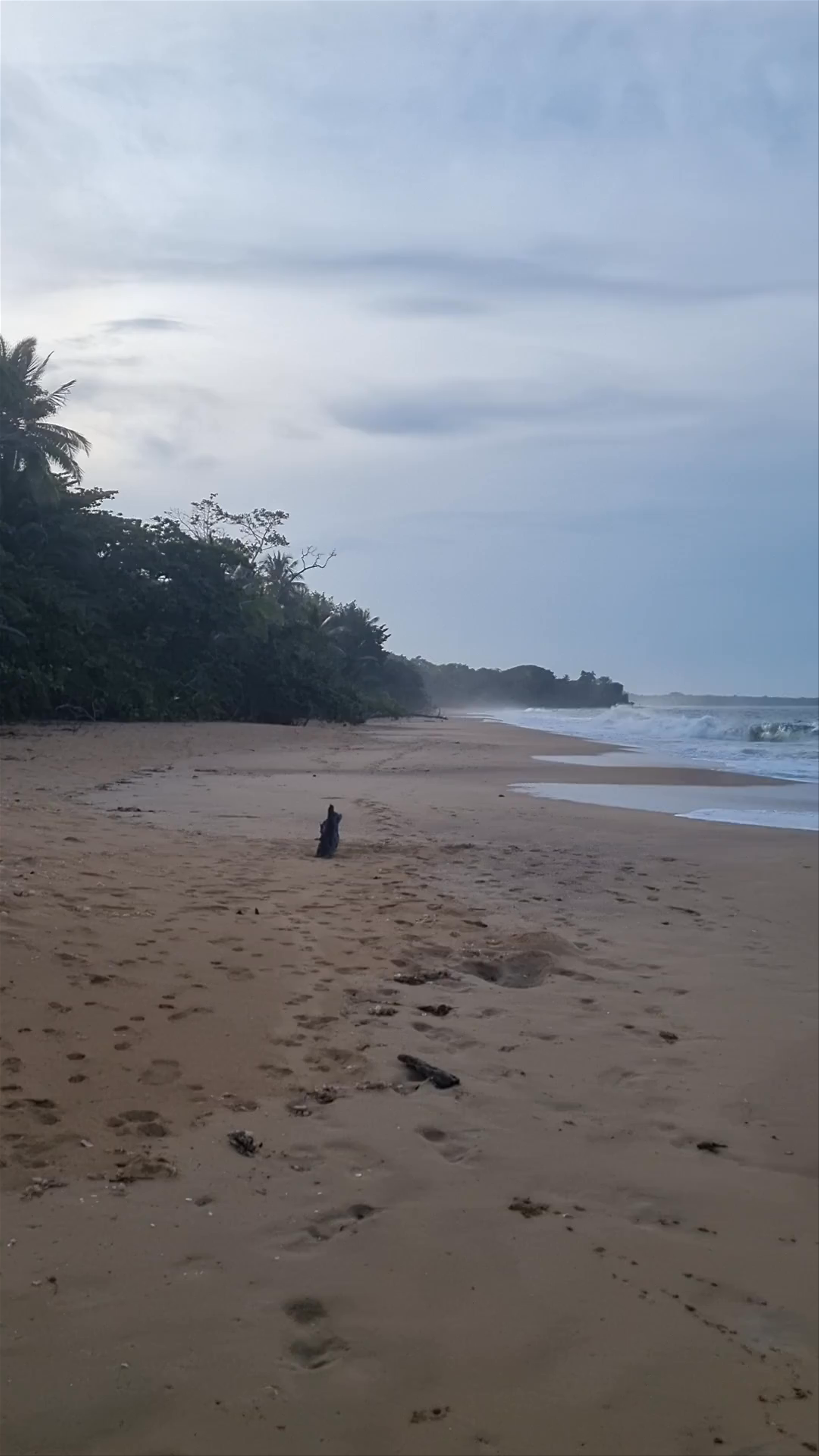 Playa Bluff Beach