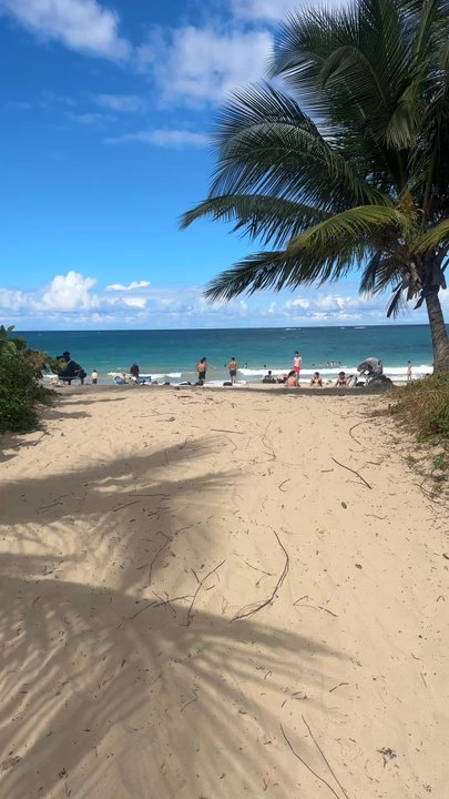 Ocean Park Beach - The beach - Beaches Near Me - San Juan, Puerto Rico