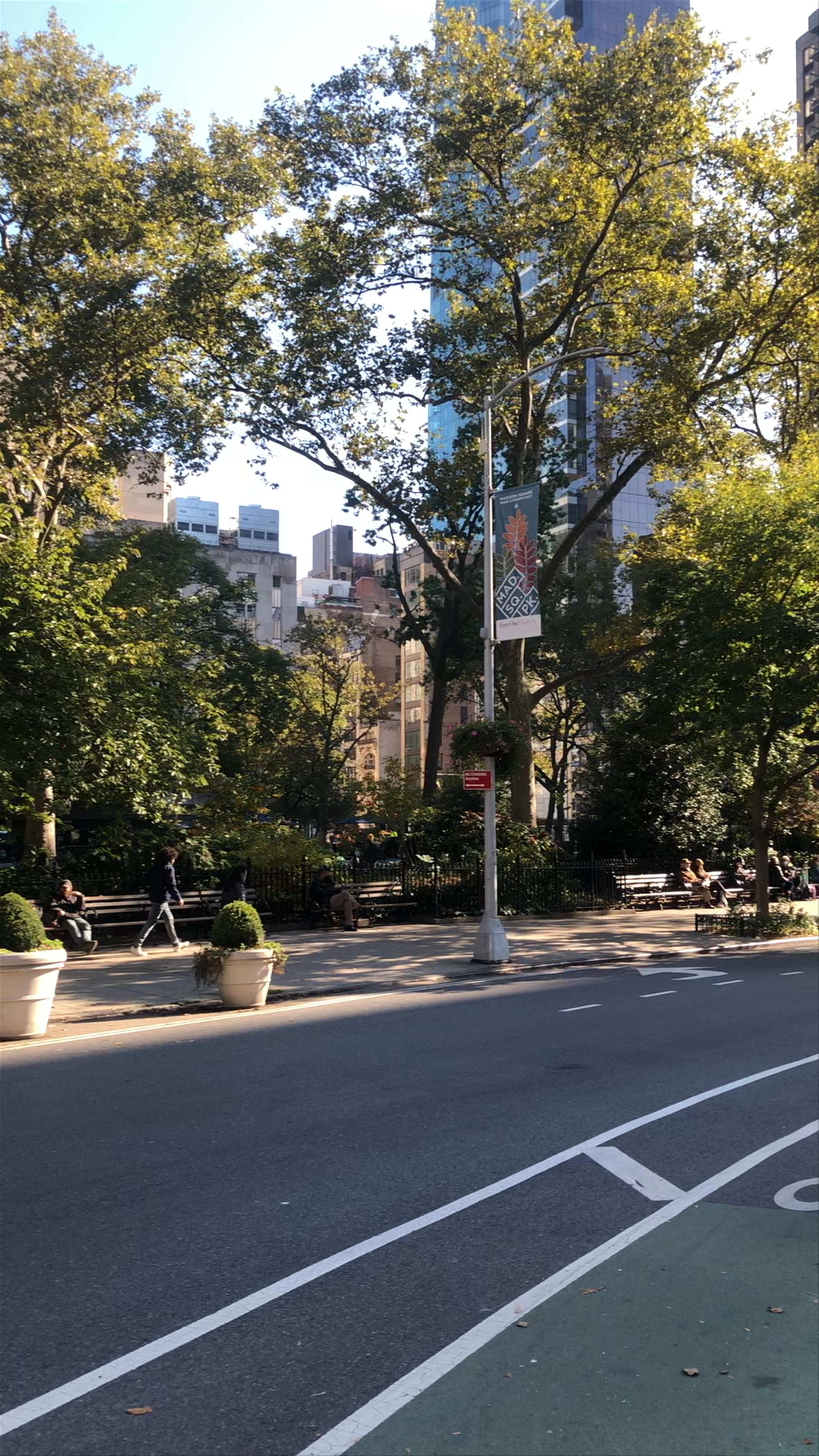 Exploring the Flatiron District: Iconic Architecture & Urban Vibes in New York City