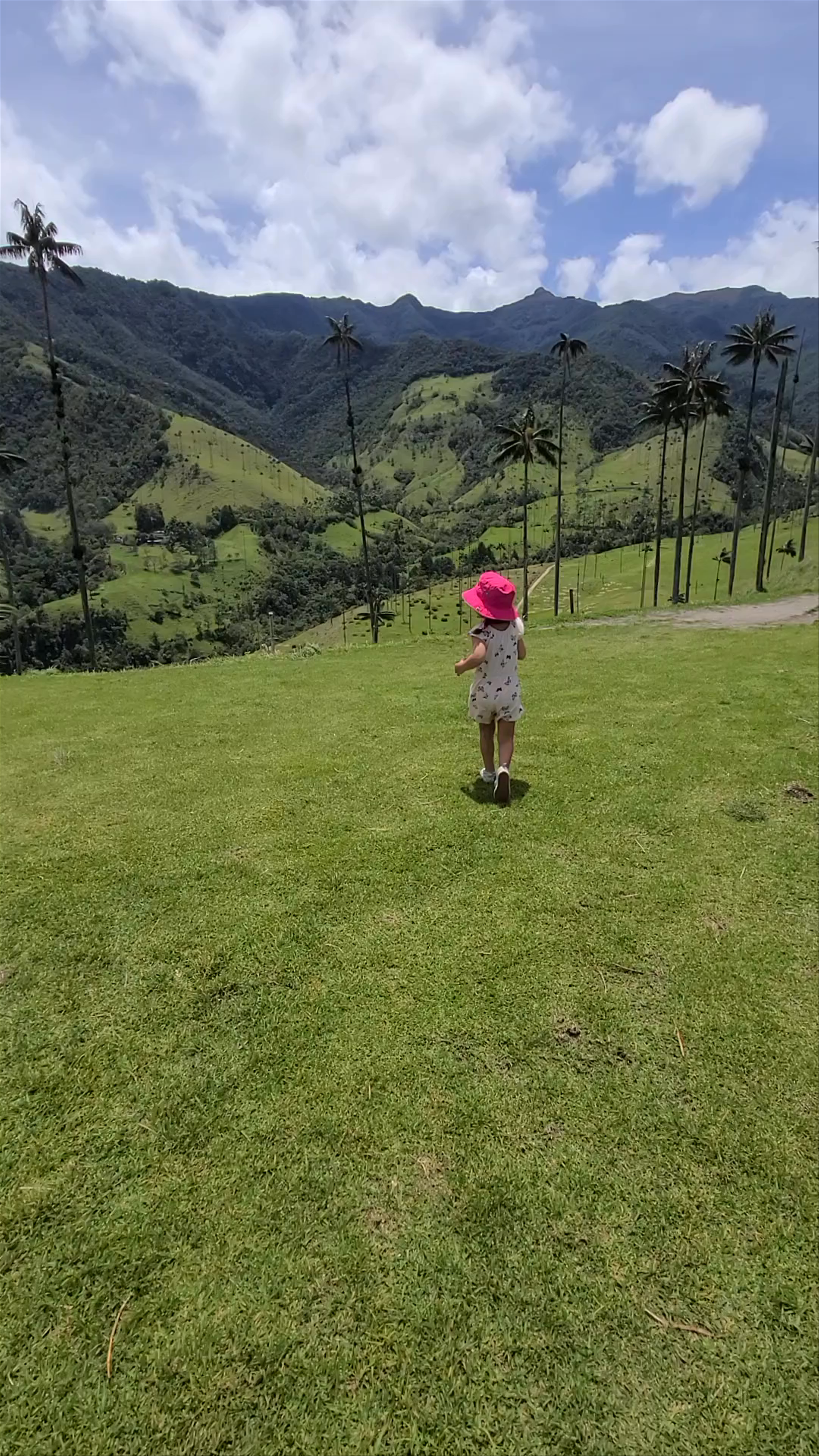 Cocora Valley Adventure: Towering Wax Palms and Lush Mountain Vistas in Salento, Colombia
