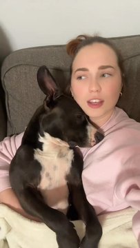 is it the breed or the owner: are pitbulls actually vicious?