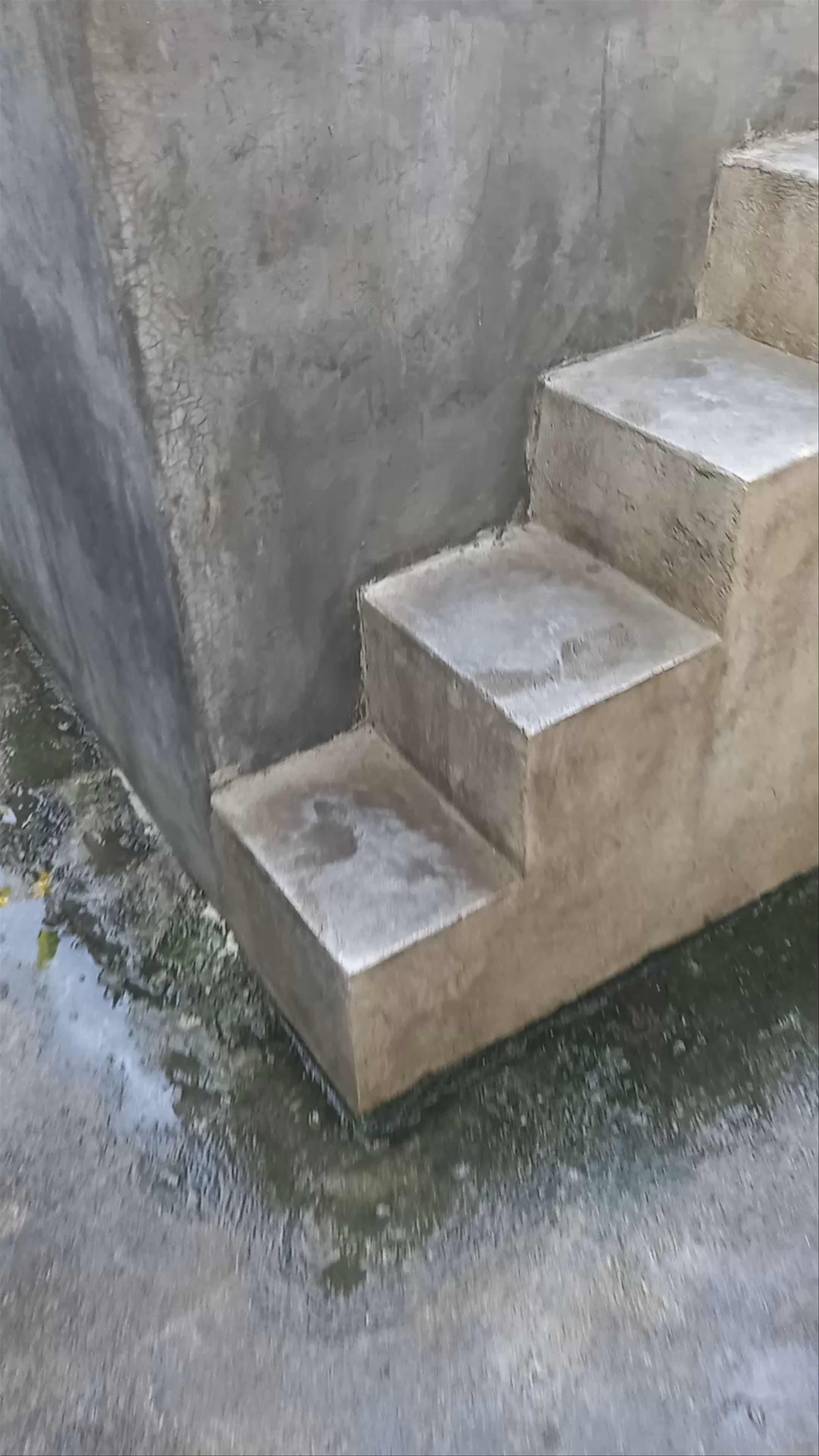 Dragonfly hostel and homestay