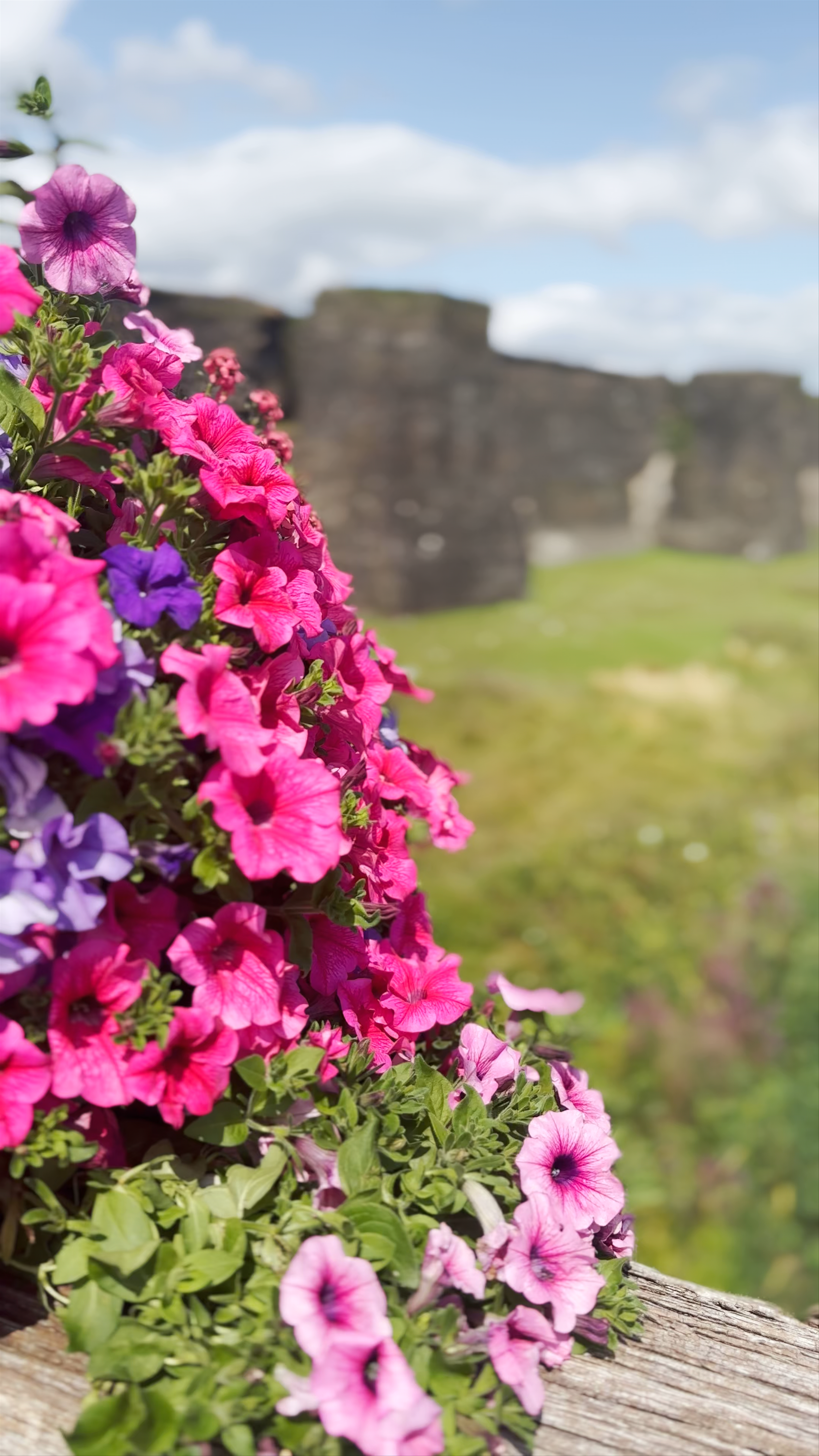 Caerphilly Castle