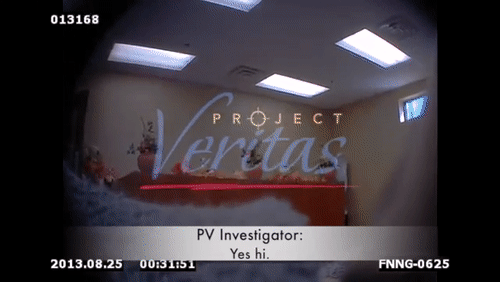 Video Thumbnail Loop