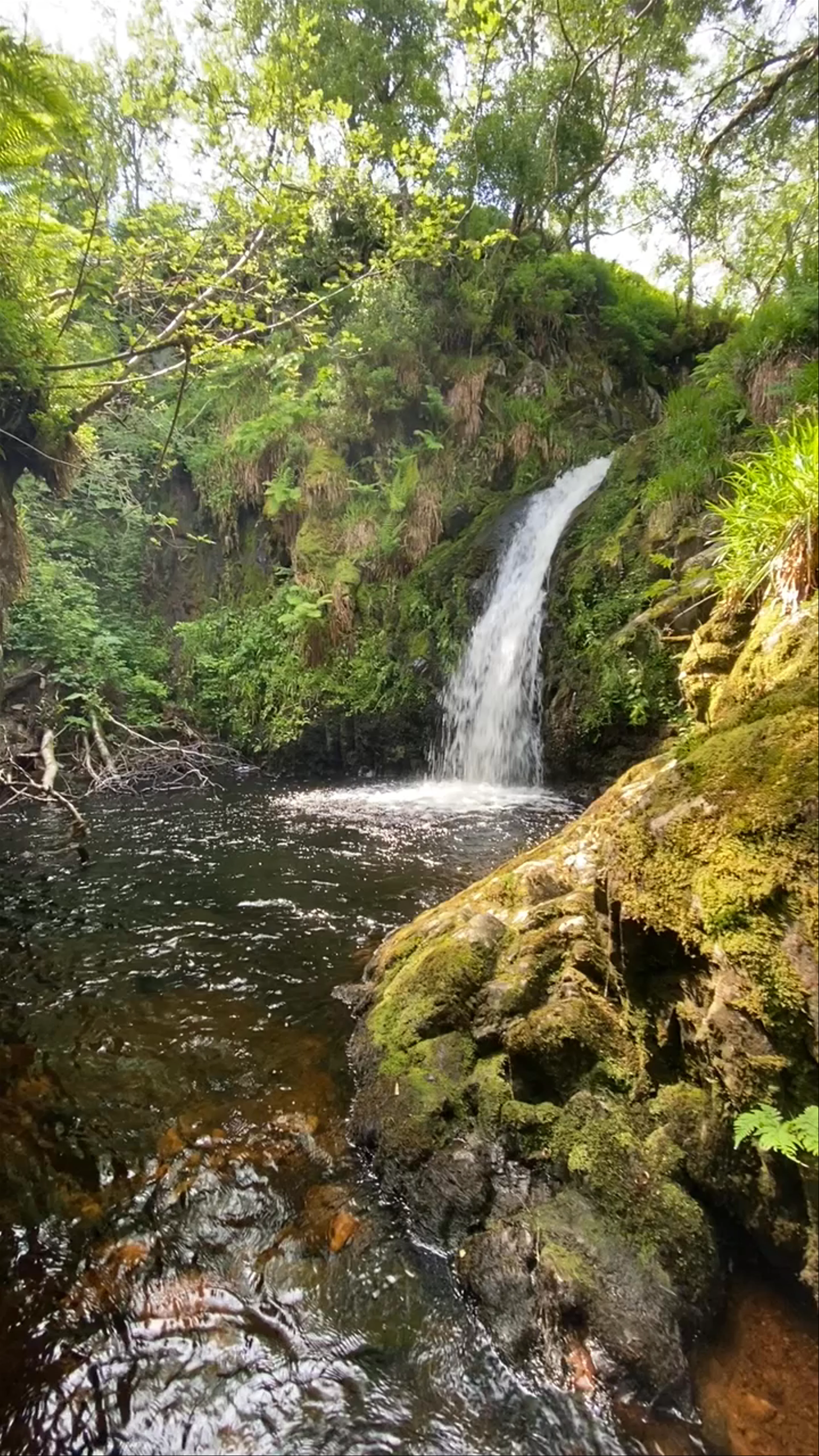 Linhope Spout Waterfall