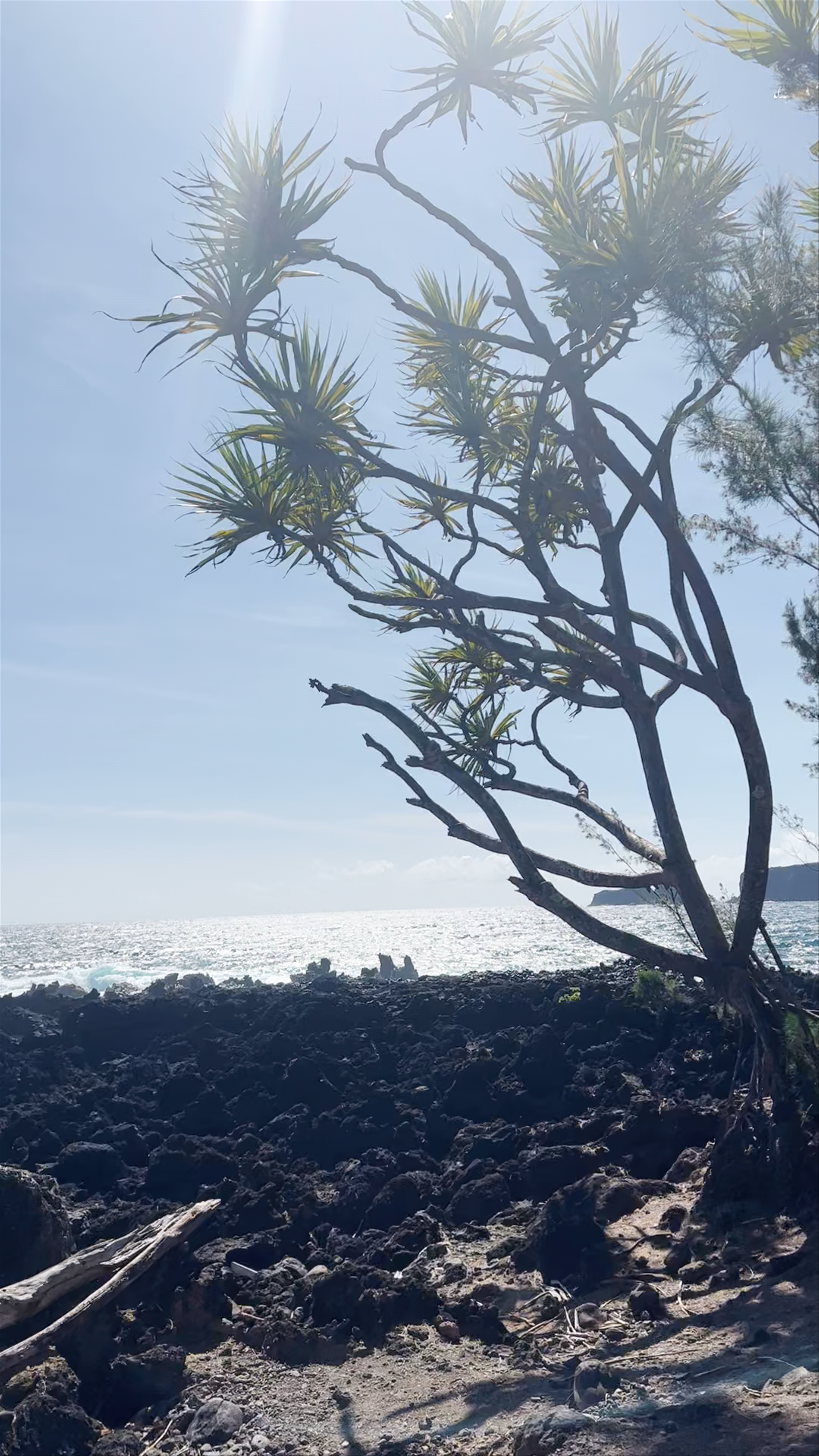 Ke‘anae Peninsula