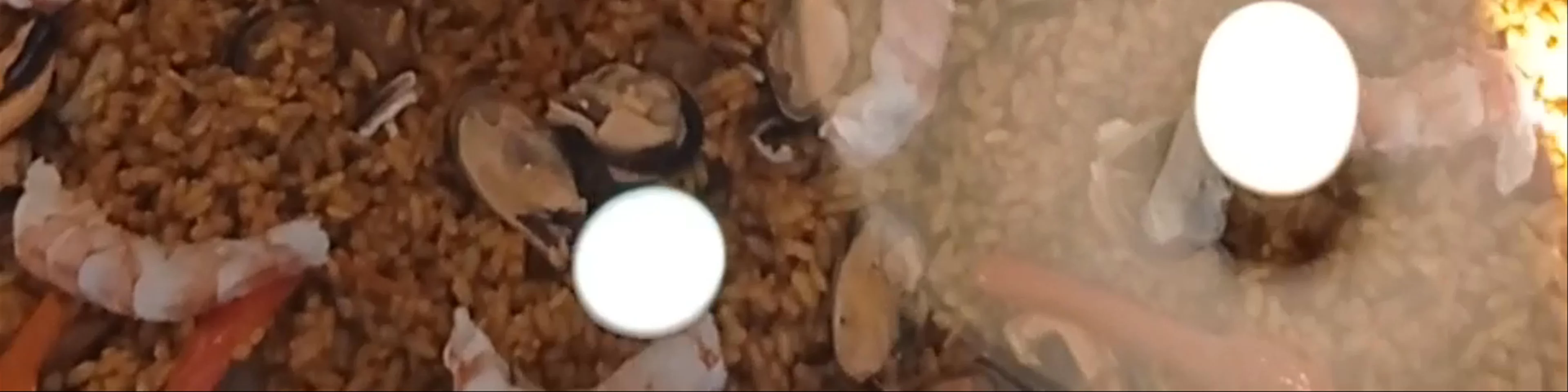 La Paella Sevilla