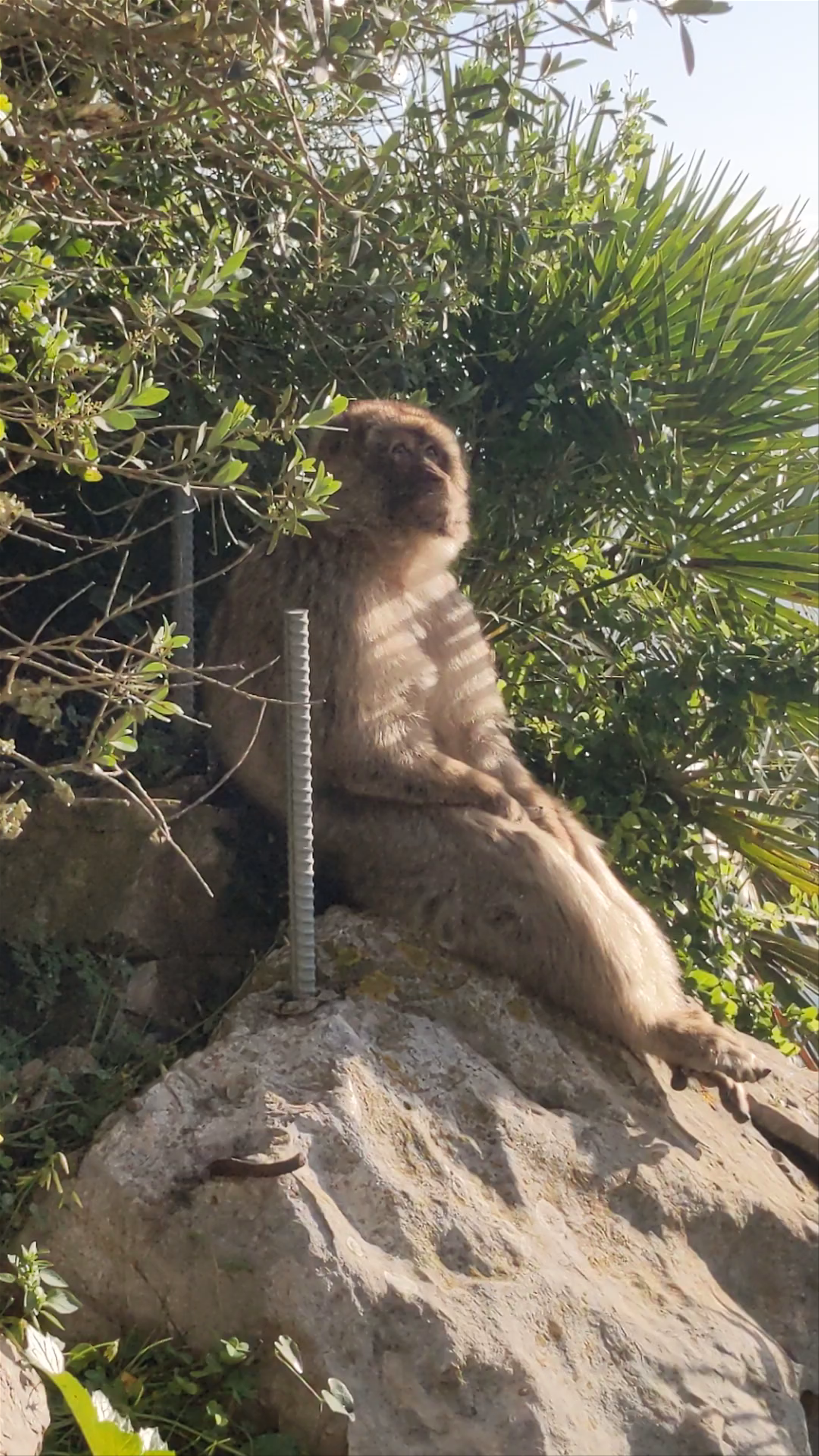 Upper Rock Nature Reserve