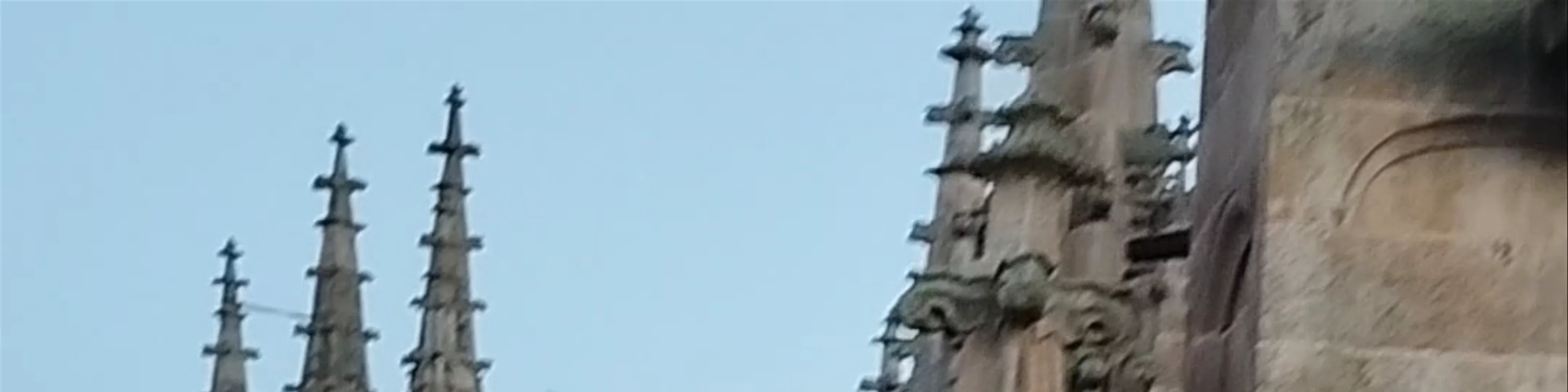 Ieronimus