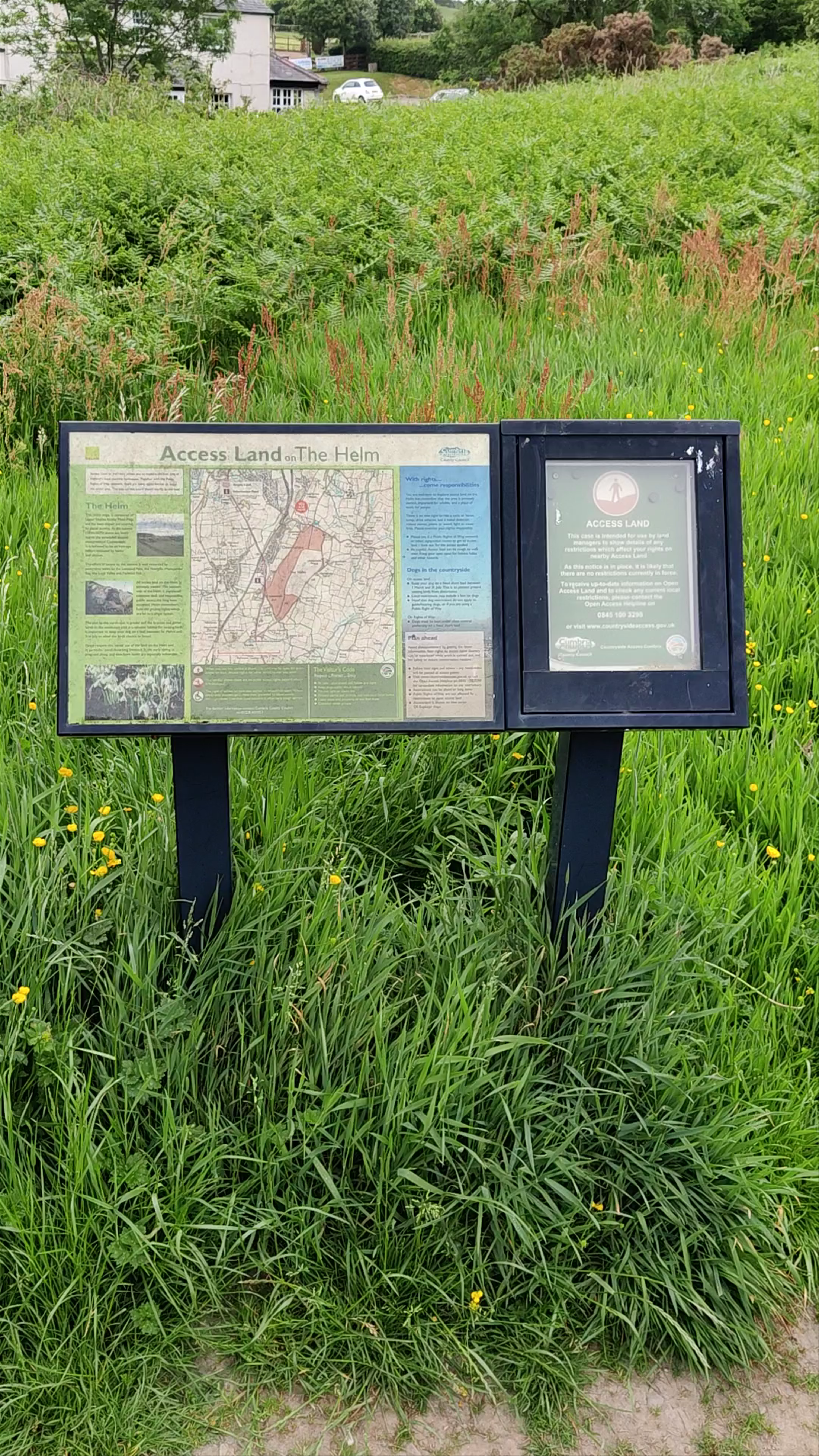 The Helm Walk, Kendal: A Serene Green Escape