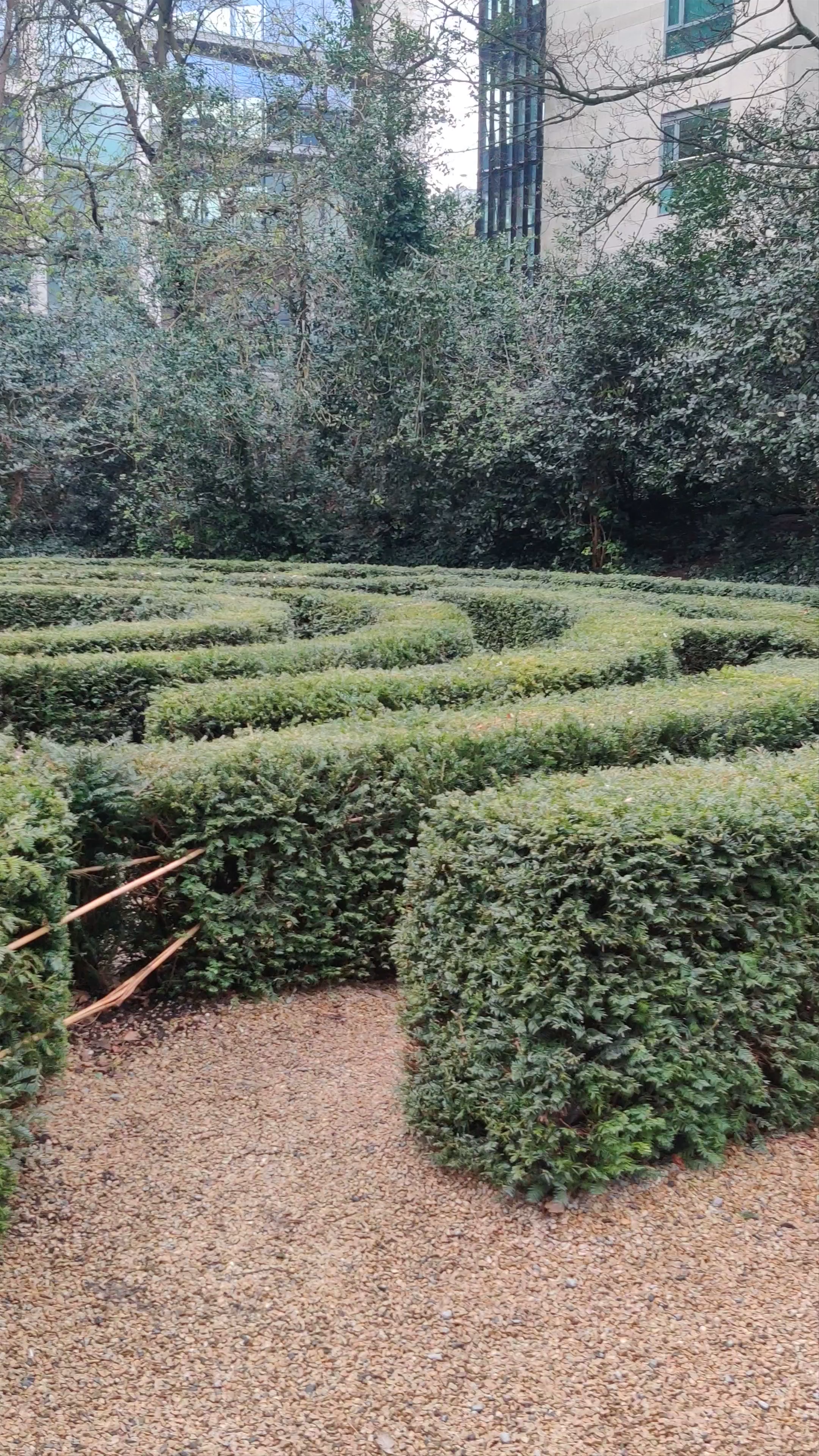 Iveagh Gardens
