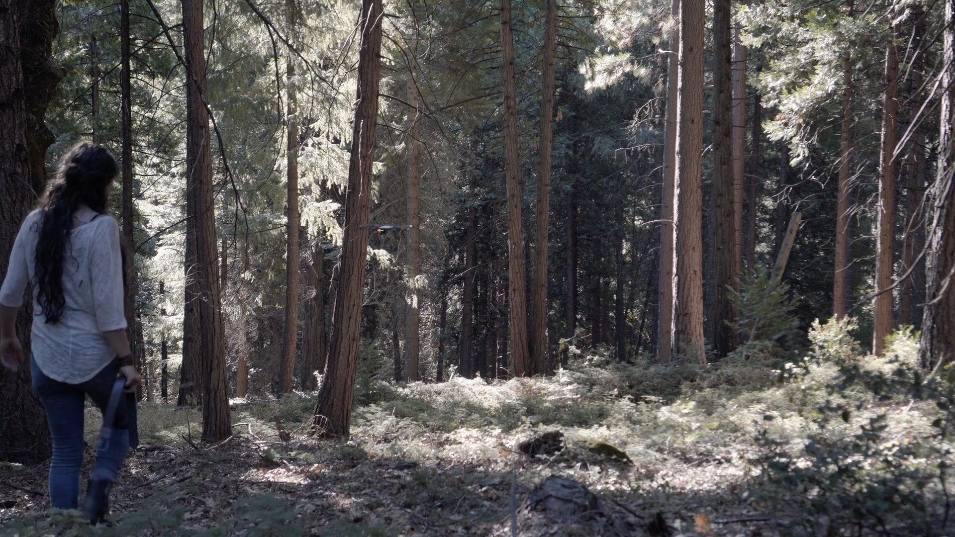 A woman cautiously traverses a dense pine forest, maintaining a vigilant demeanor as she navigates the wooded landscape.