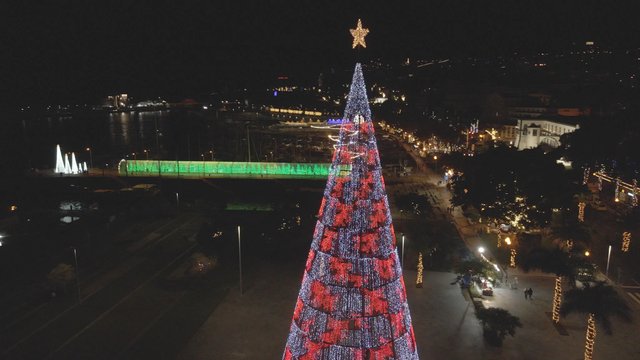 Christmas tree in the city