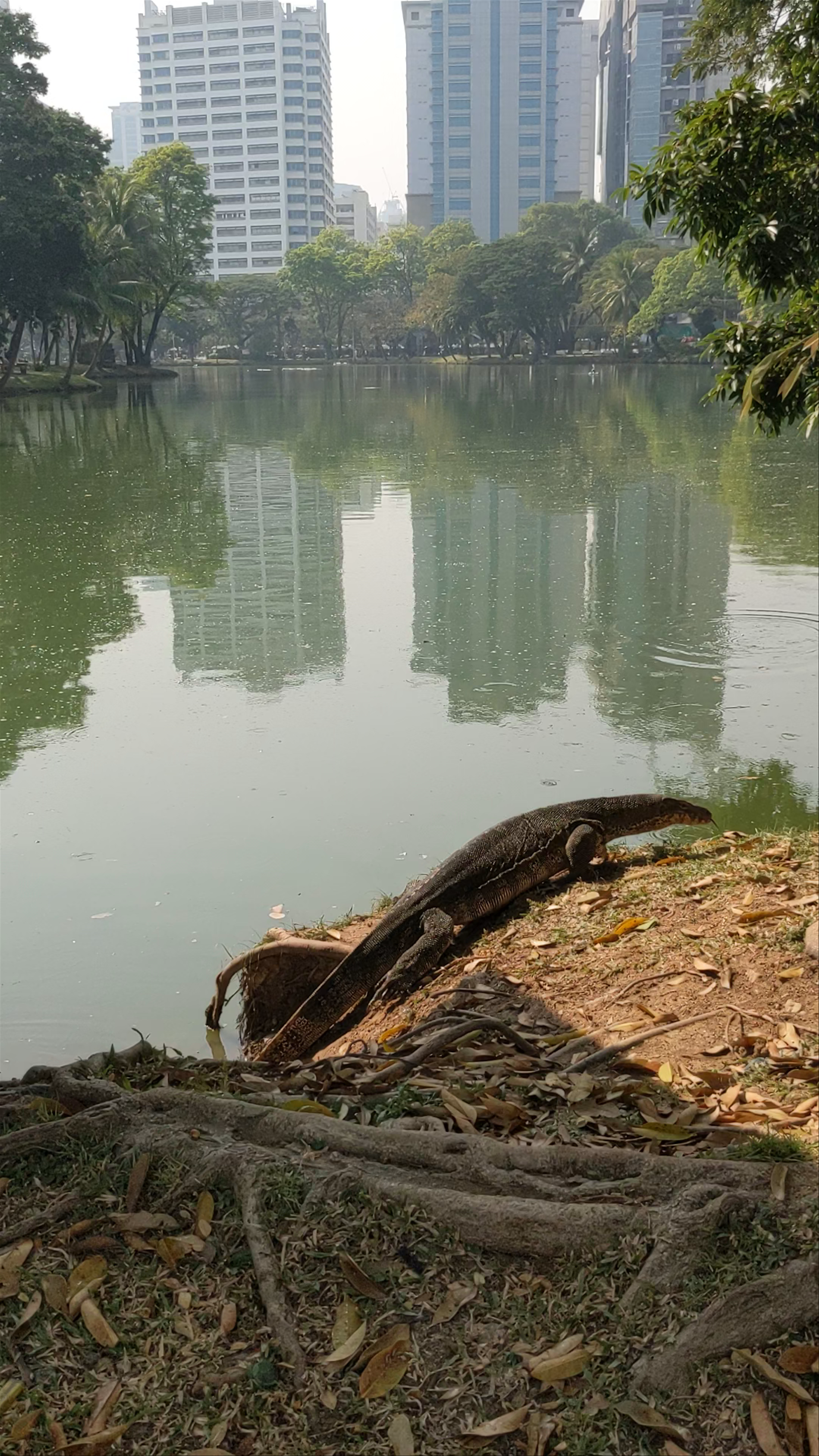 Lumpini Park
