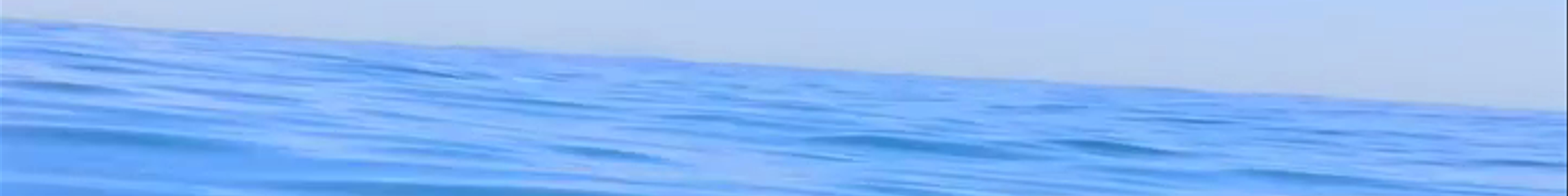 Tours & experiences in Vlorë