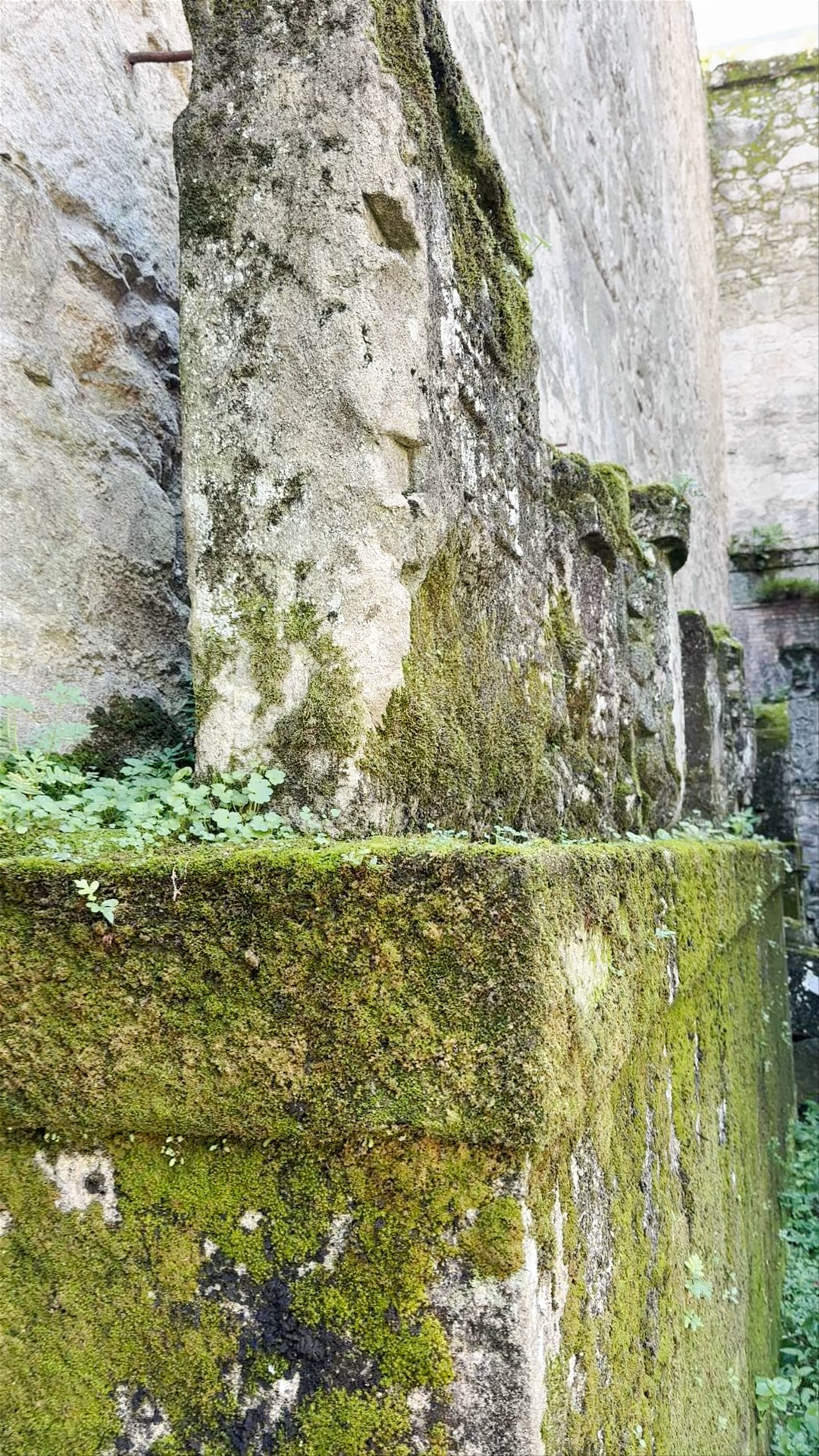 Ruinas de Santo Domingo