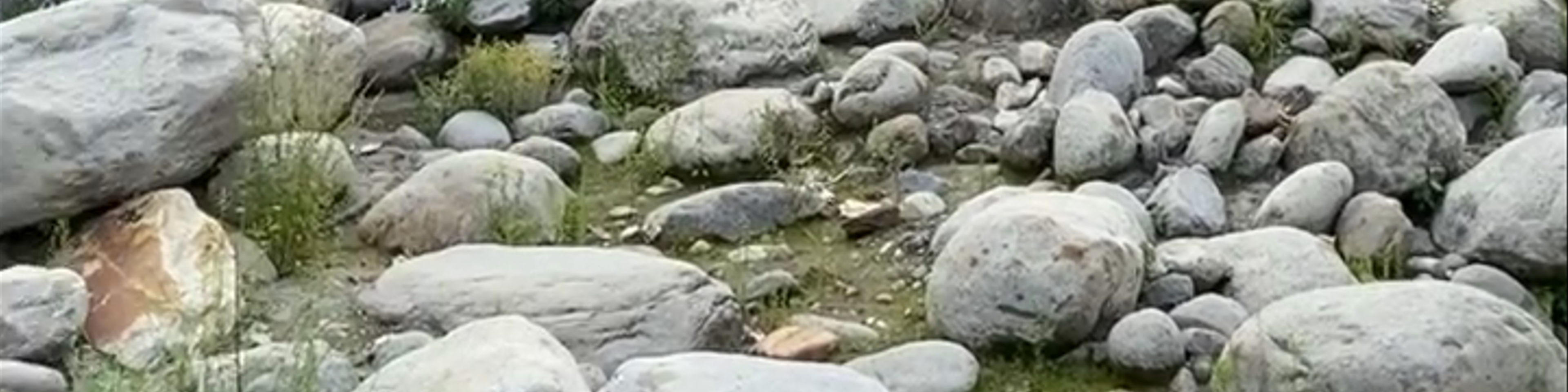 Himachal Pradesh