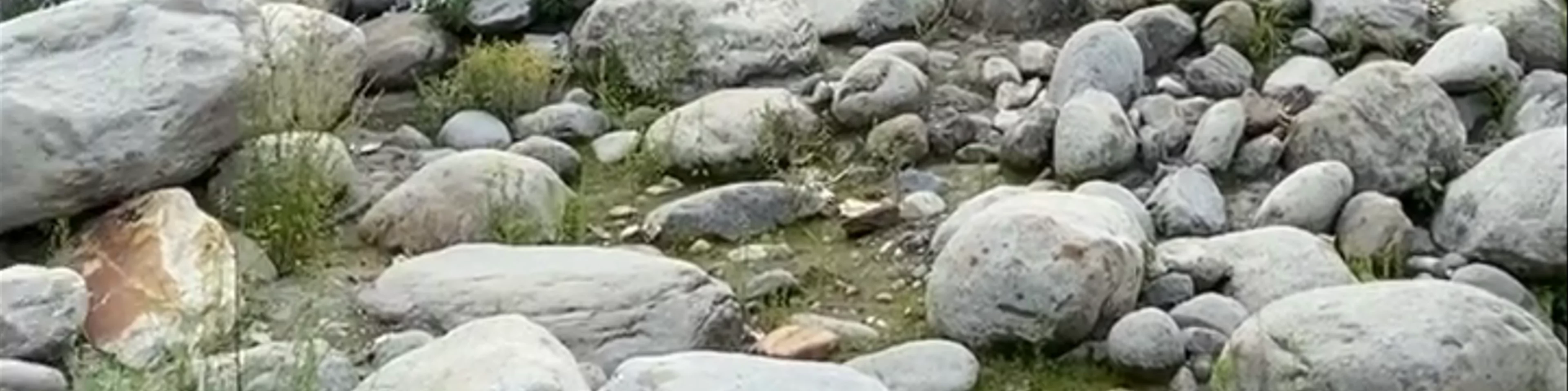 Manali