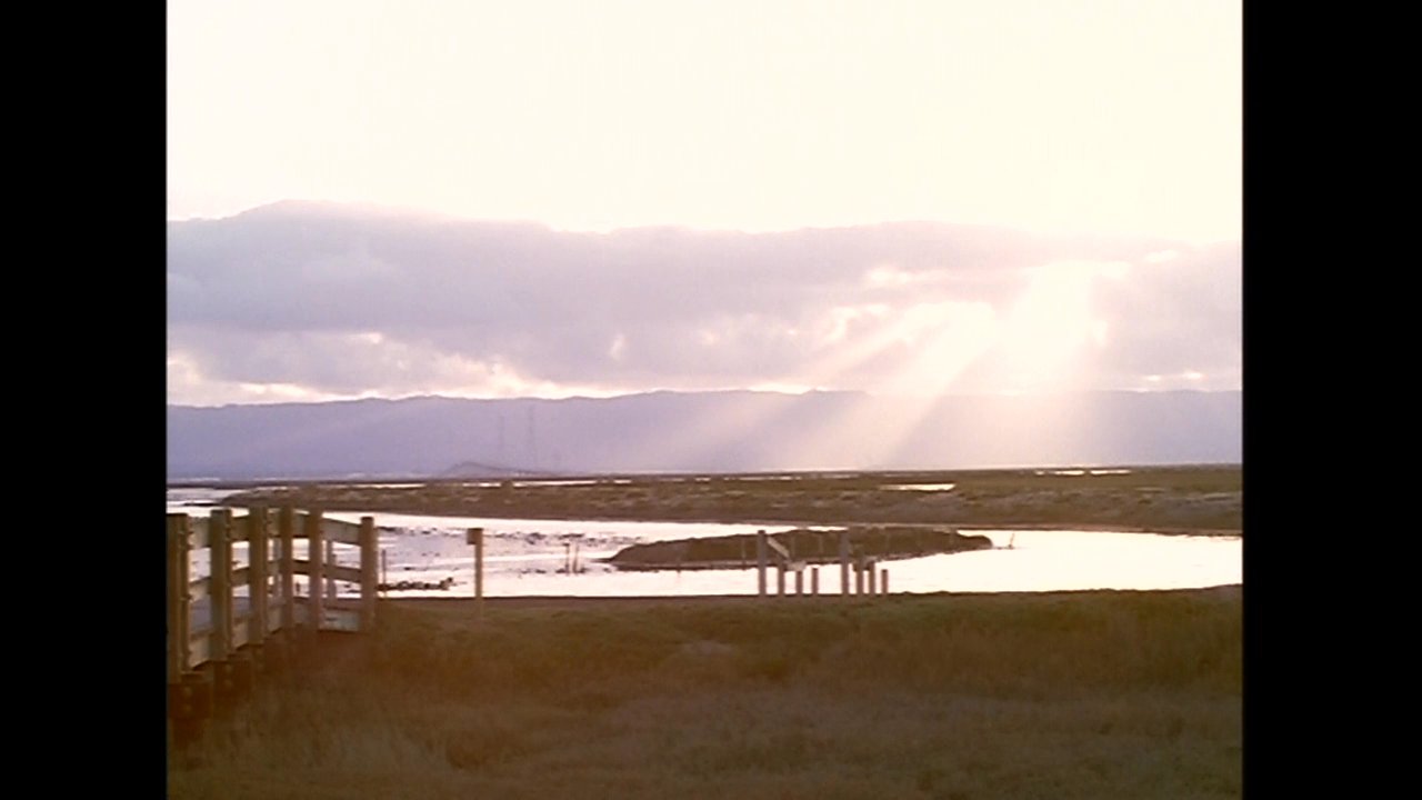 A man and a woman spend quiet time together at a wooden lookout overlooking a wetland area during sunset. The pair transitions from standing apart to sharing an intimate, conversational moment along the path.