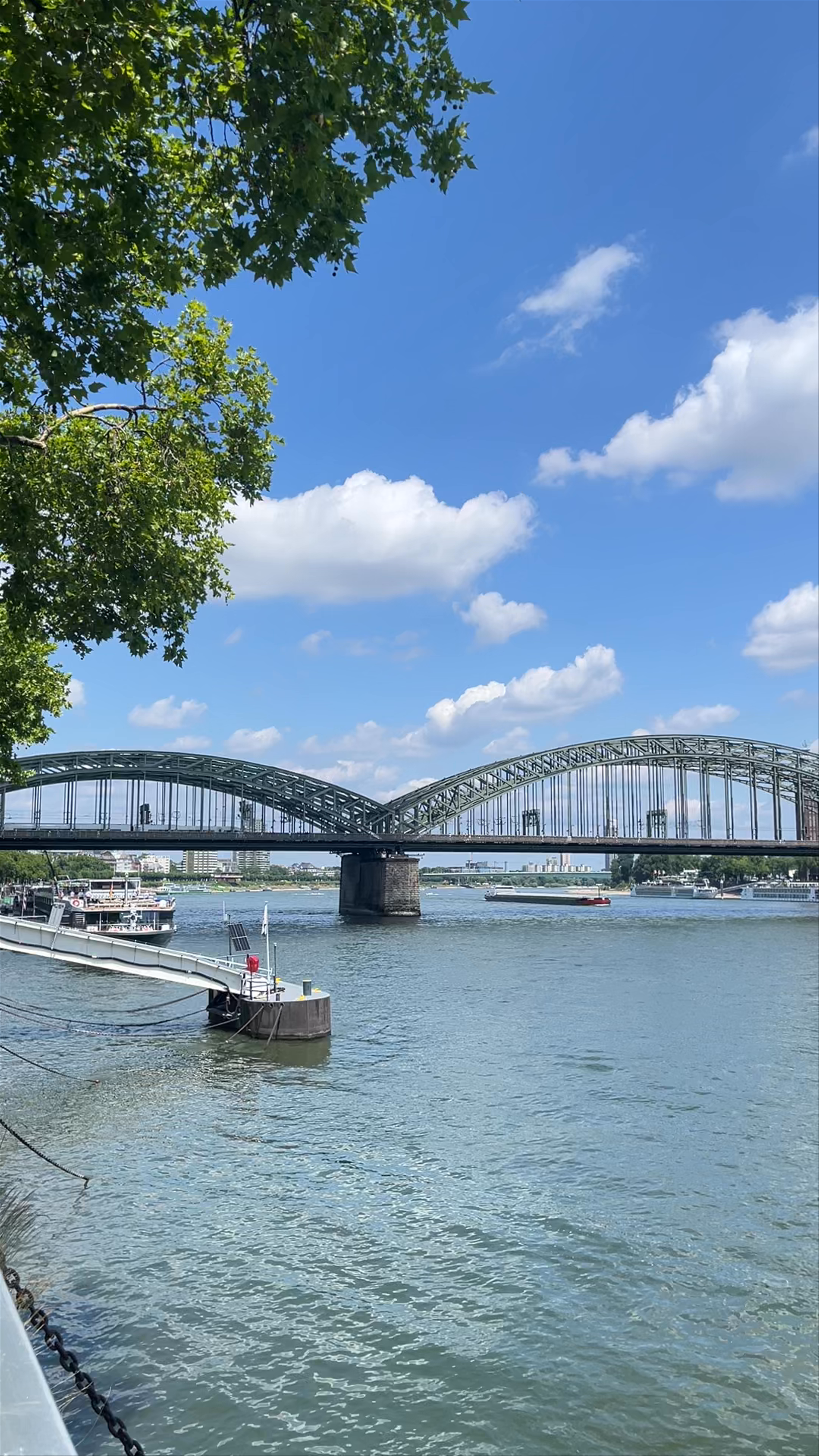 Sunlit Serenity at Hohenzollern Bridge, Cologne