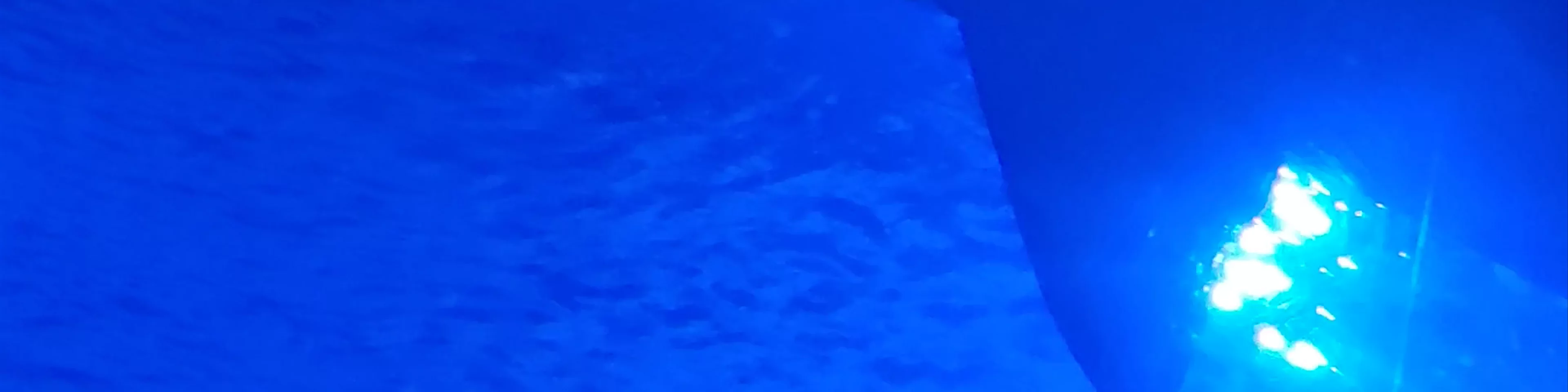 Sevilla Aquarium