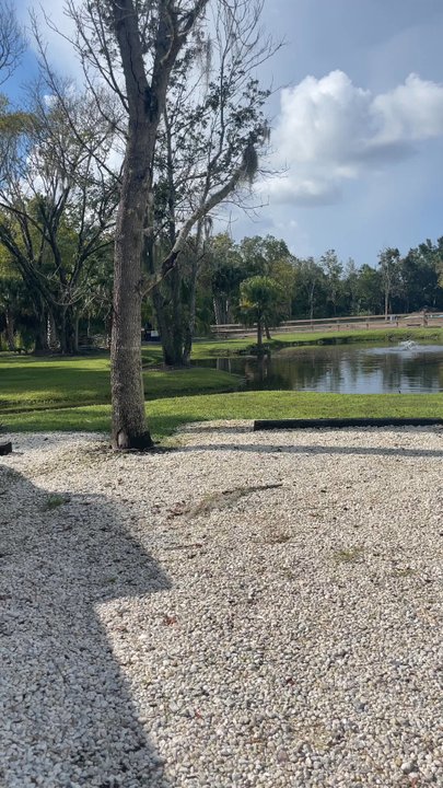 HIDDEN PALMS RANCH - Updated March 2025 - 83 Photos & 25 Reviews - 1410 ...