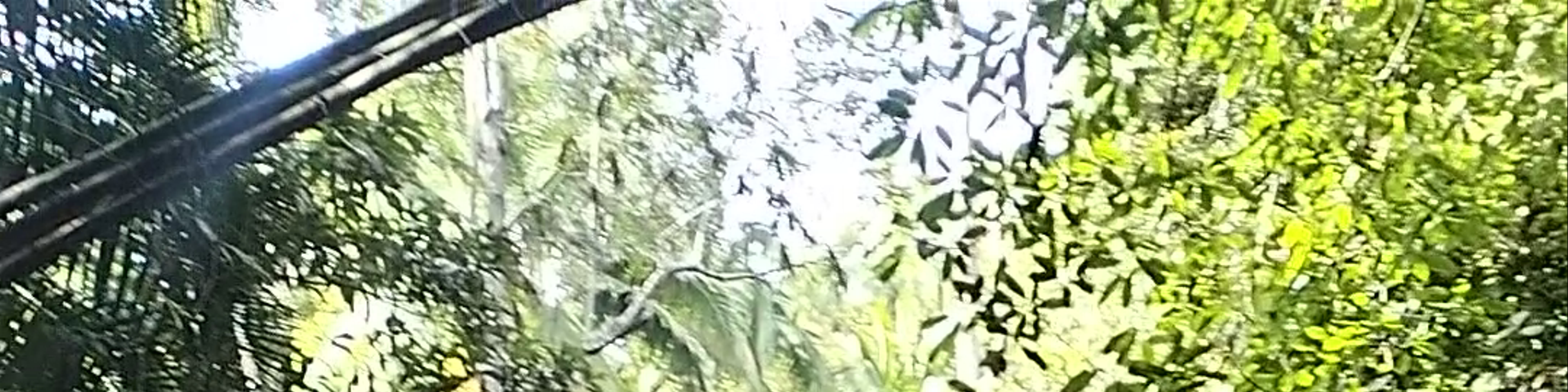 Siquijor