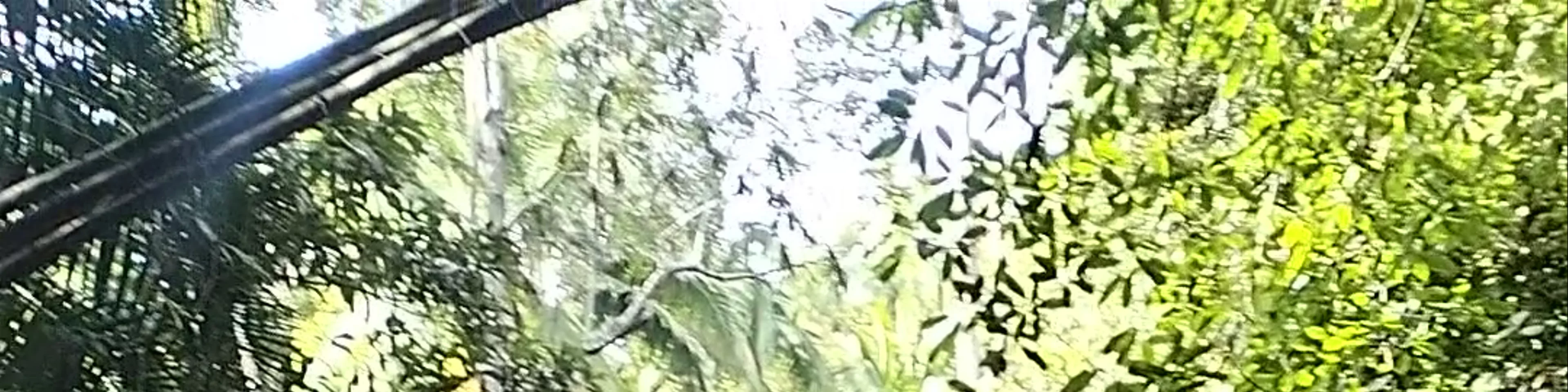 Lagaan Falls