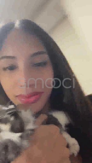 Lalisa Bangkok Escort Video #6906