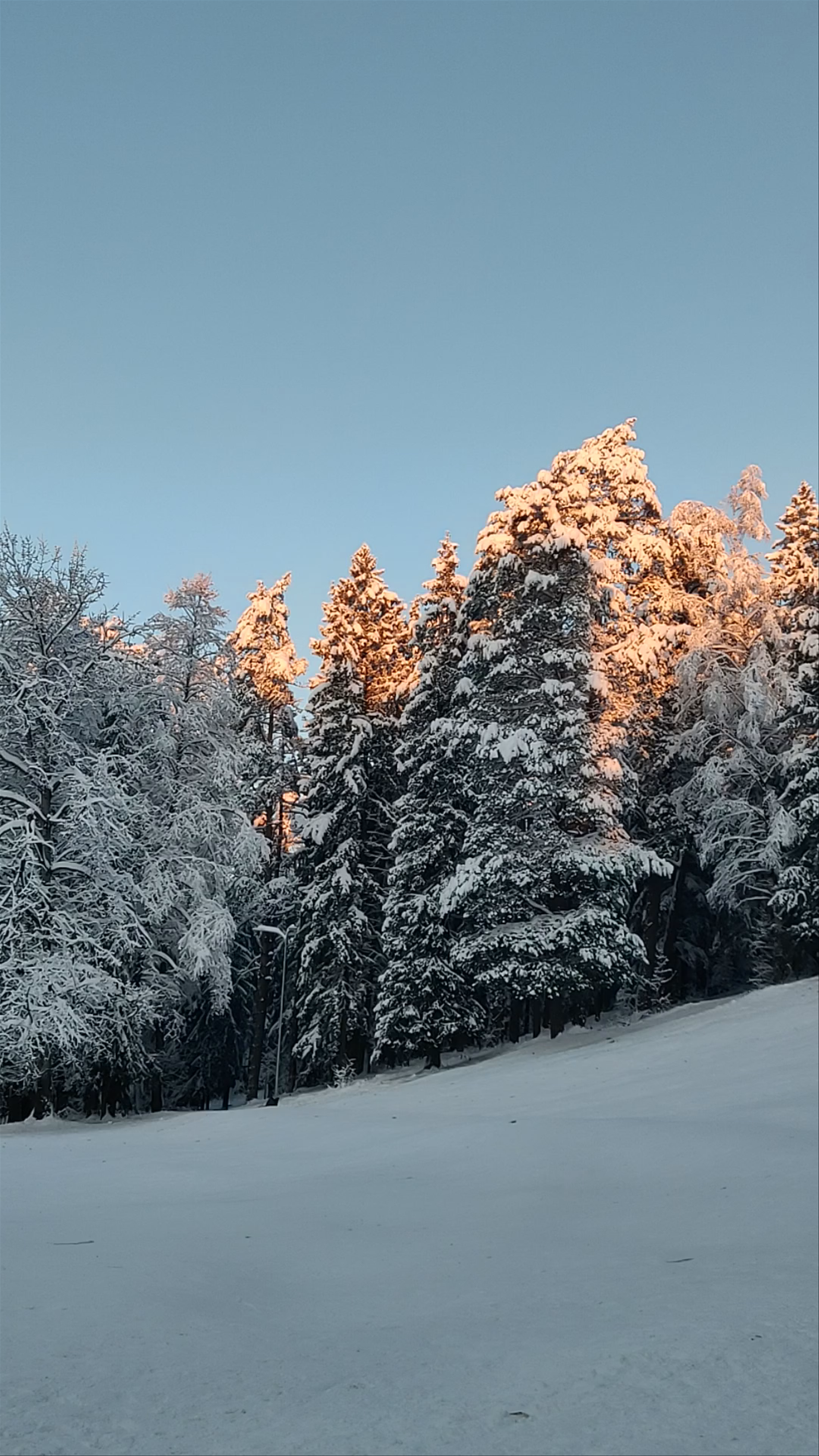 Winter Serenity at Ogres Zilie Kalni, Latvia