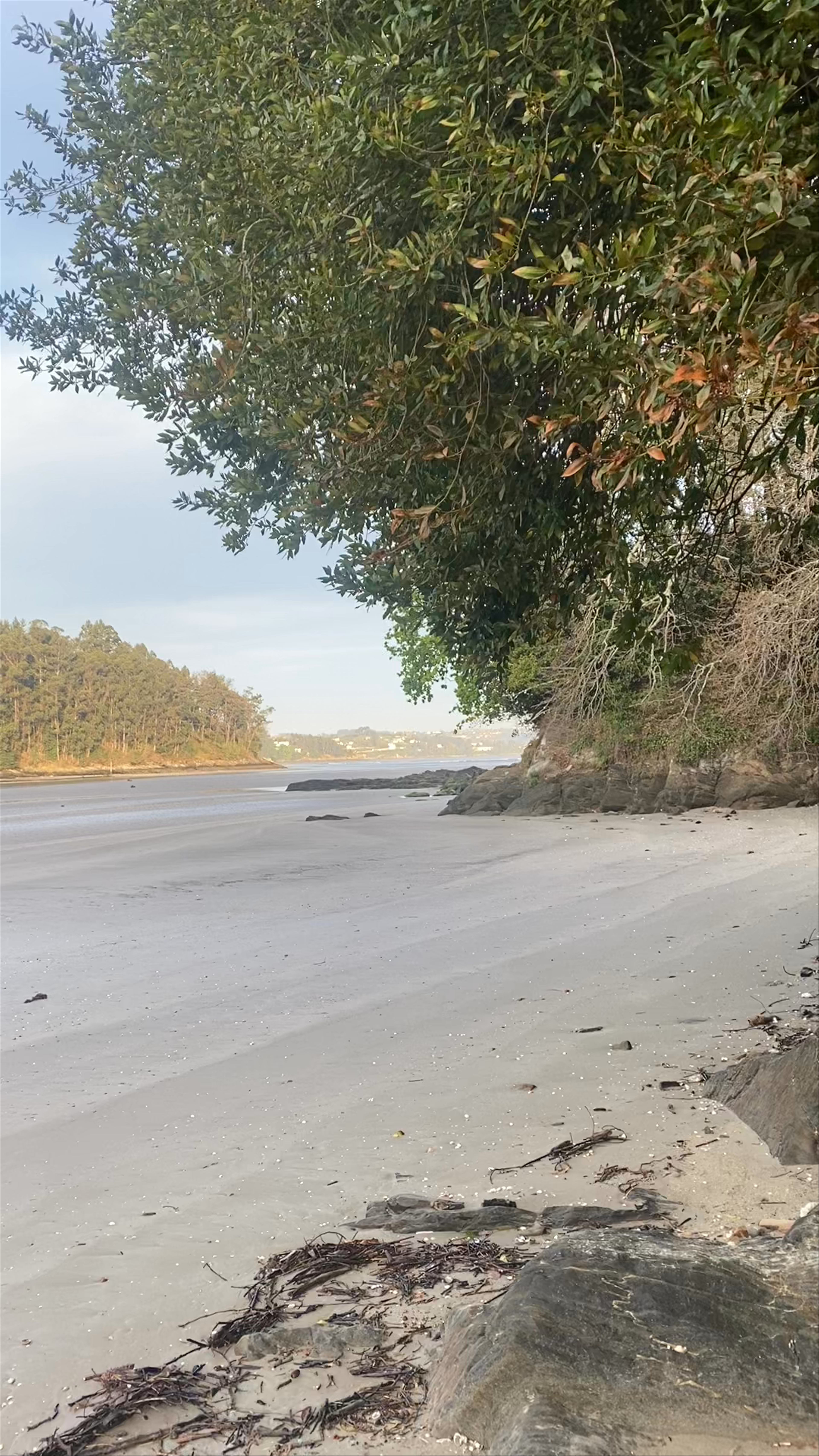 Playa de la Alameda