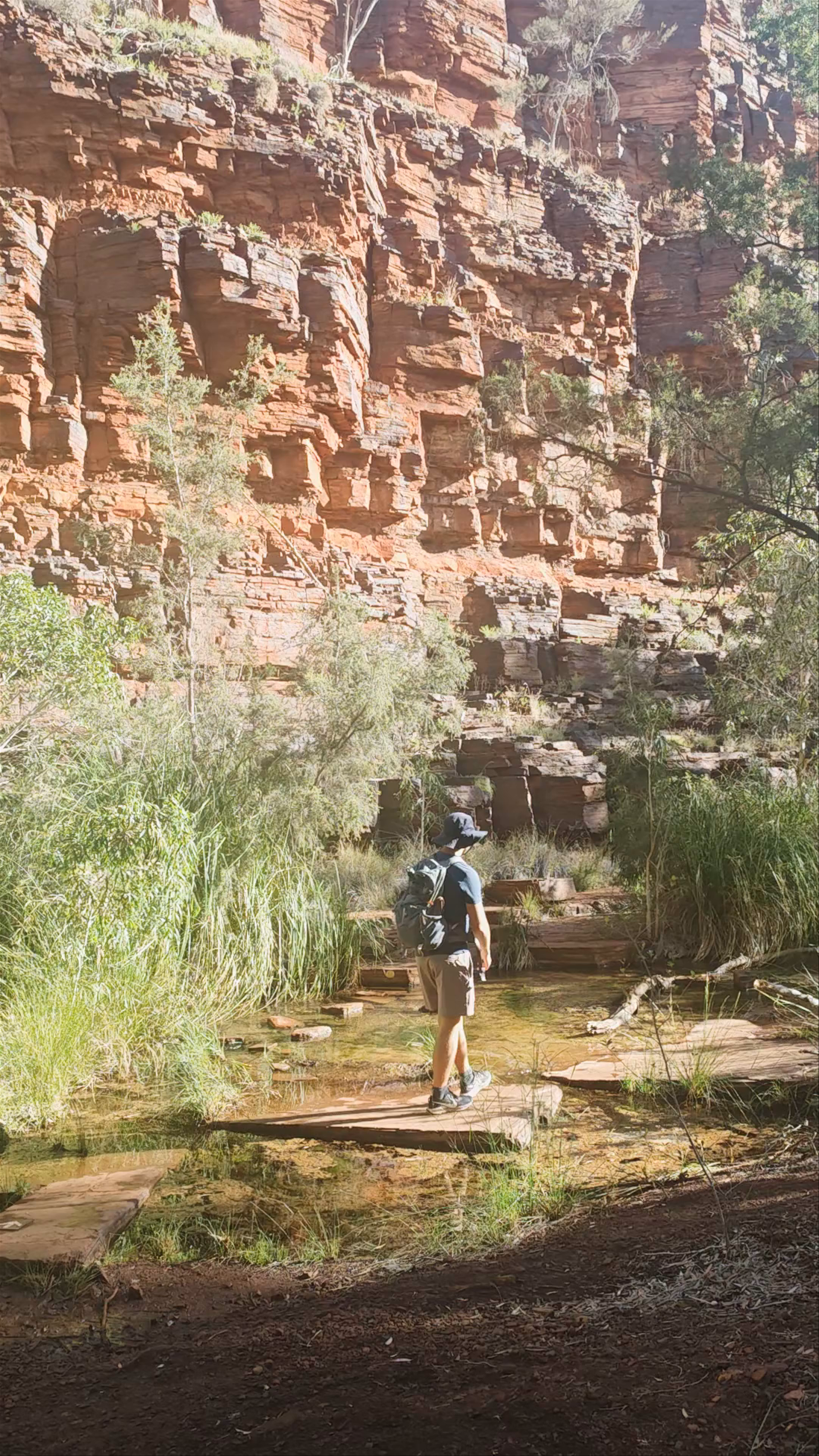 Dales Gorge