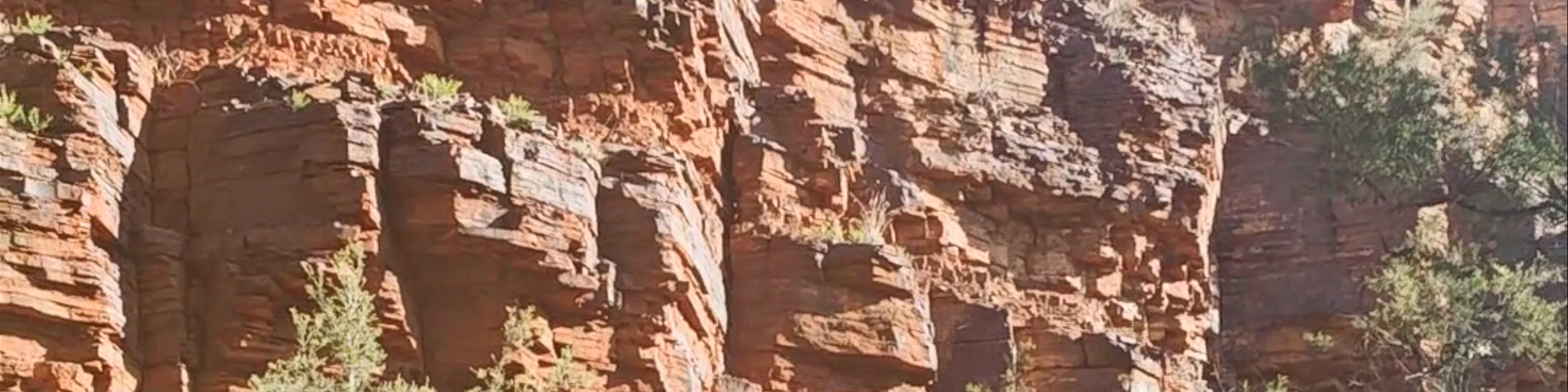 Dales Gorge