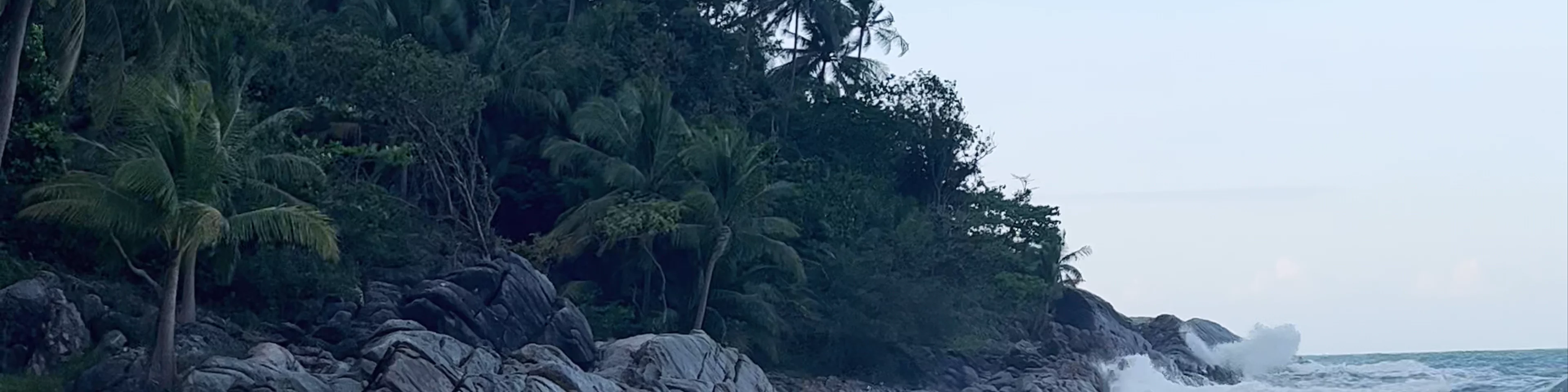Bottle Beach