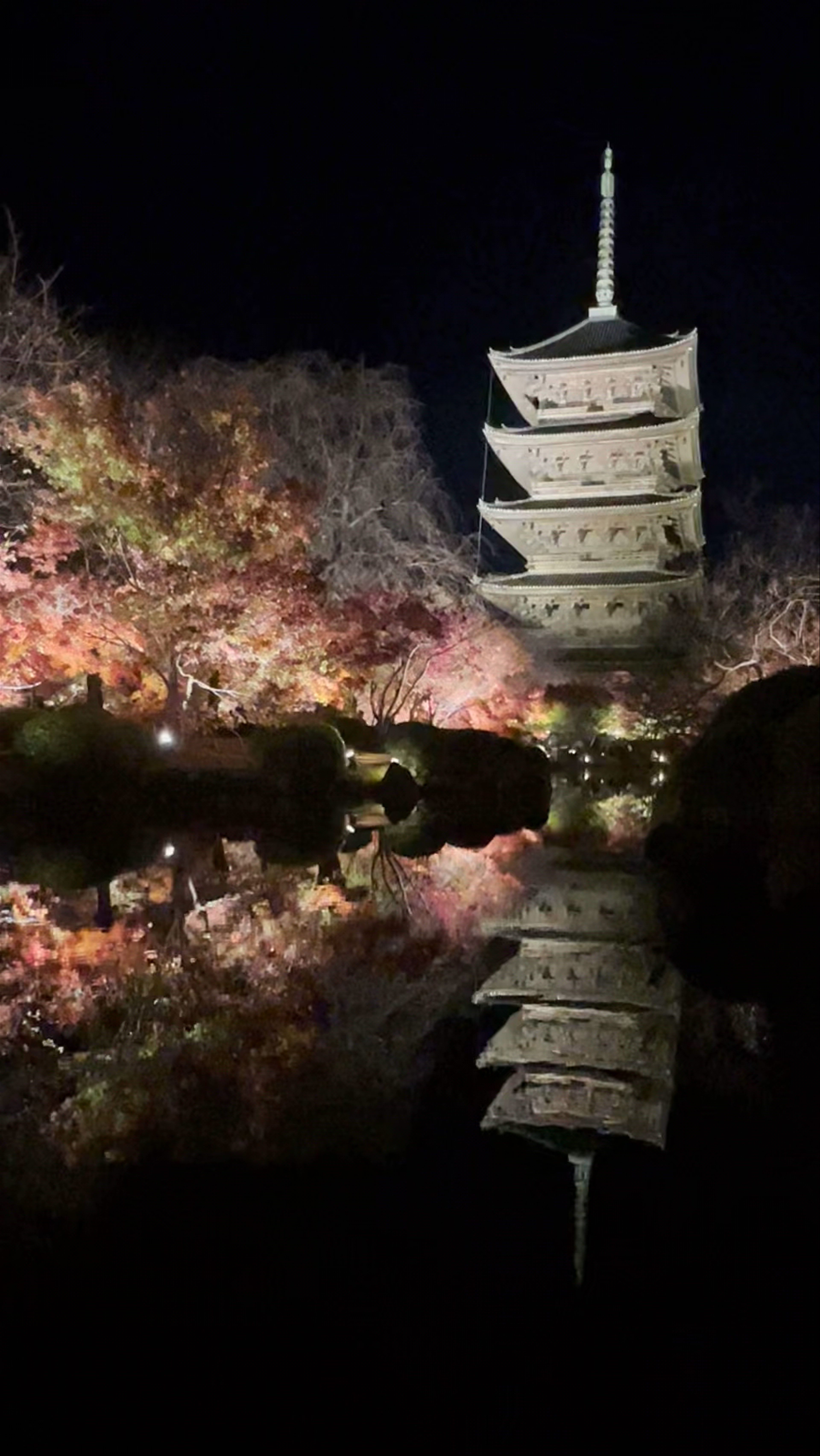 Tōji Temple Illuminated at Night in Kyoto