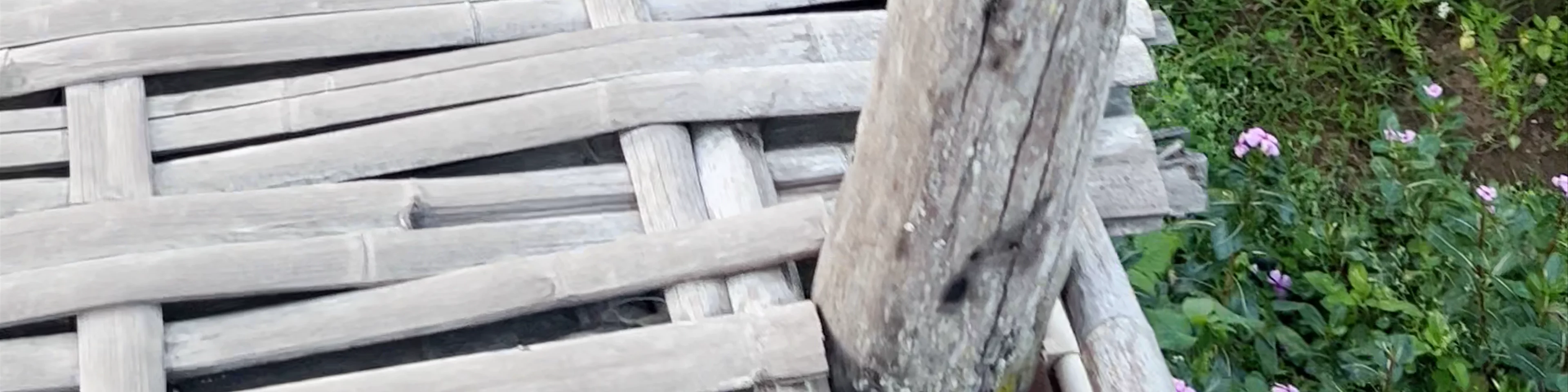 Bamboo Bridge Pai
