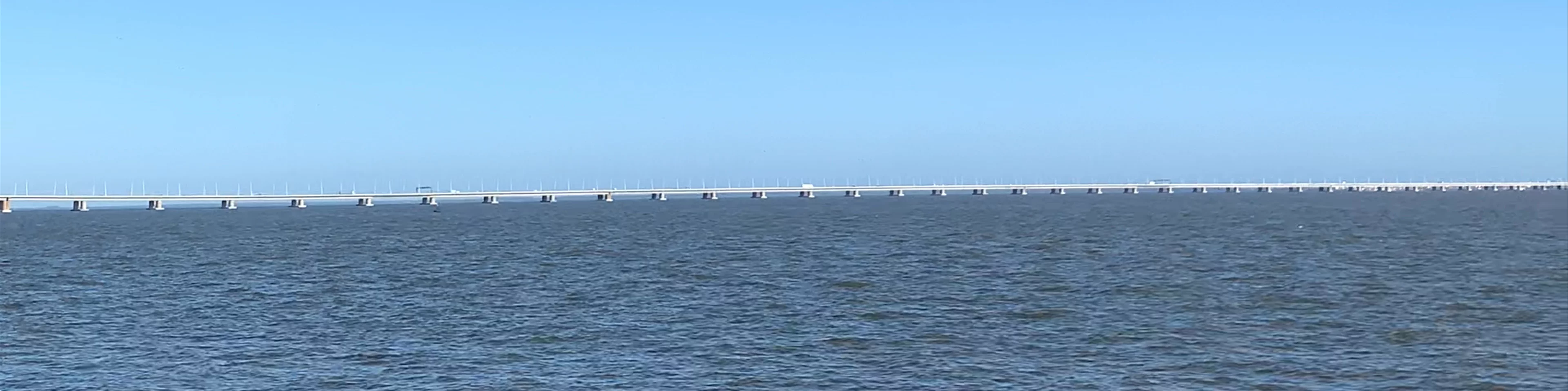 Vasco da Gama Bridge