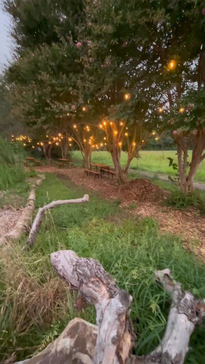 Celeste Farms - Need a place to unwind after work. I went after work Friday night. - Farms Near Me - Henrico, Virginia