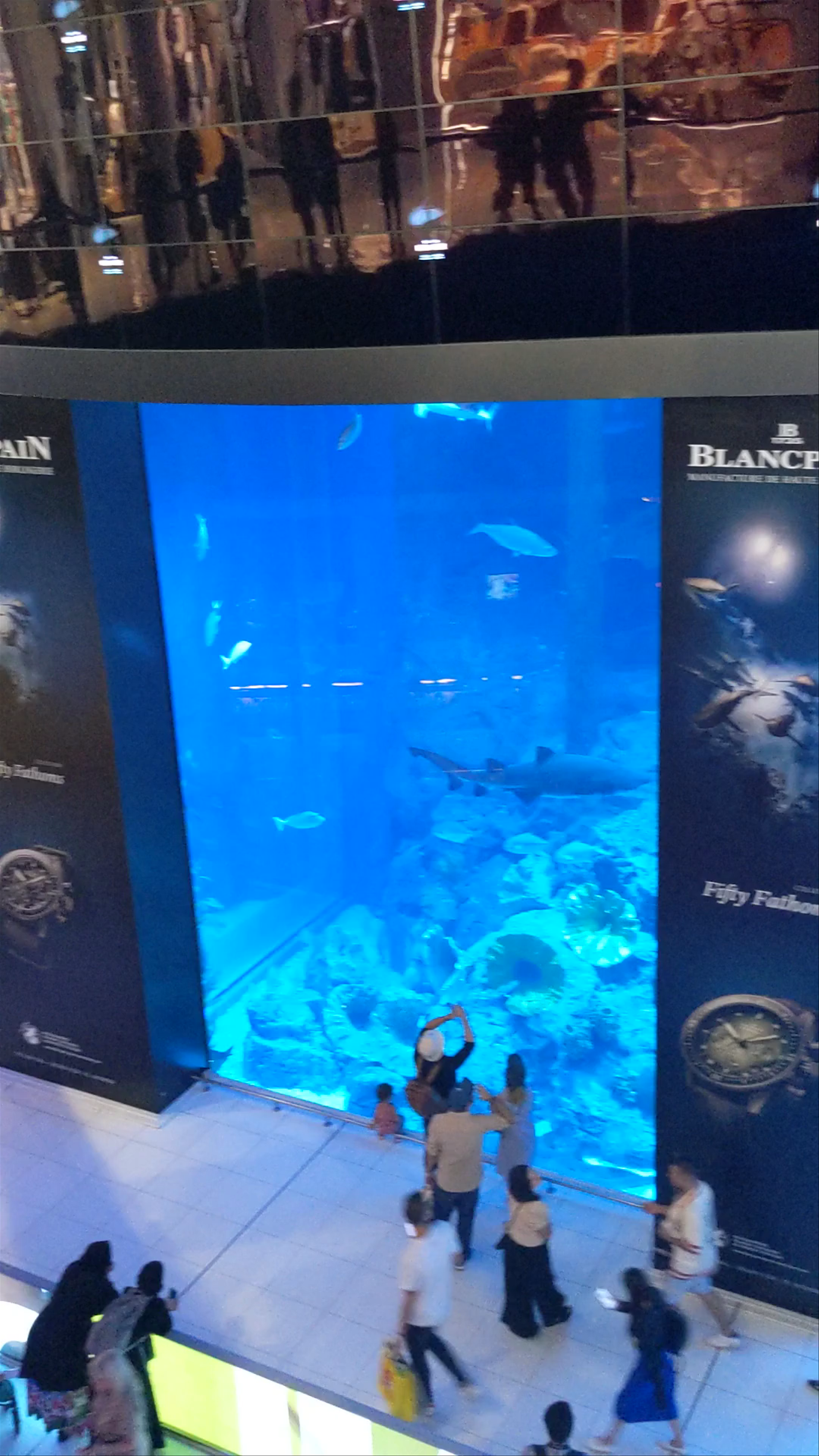 Dubai Aquarium & Underwater Zoo - شارع المركز المالي، - Dubai - United Arab Emirates