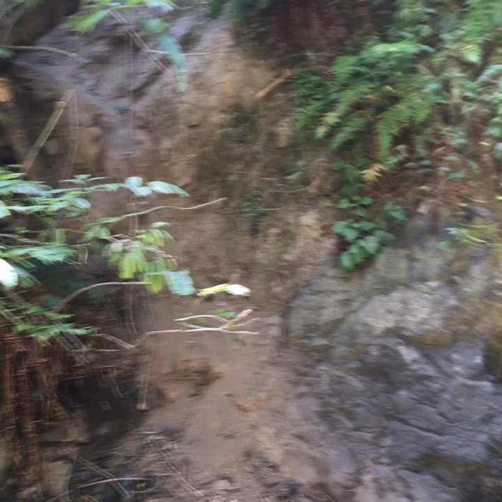 Blowhole Trail - Hiking Near Me - Little River, California