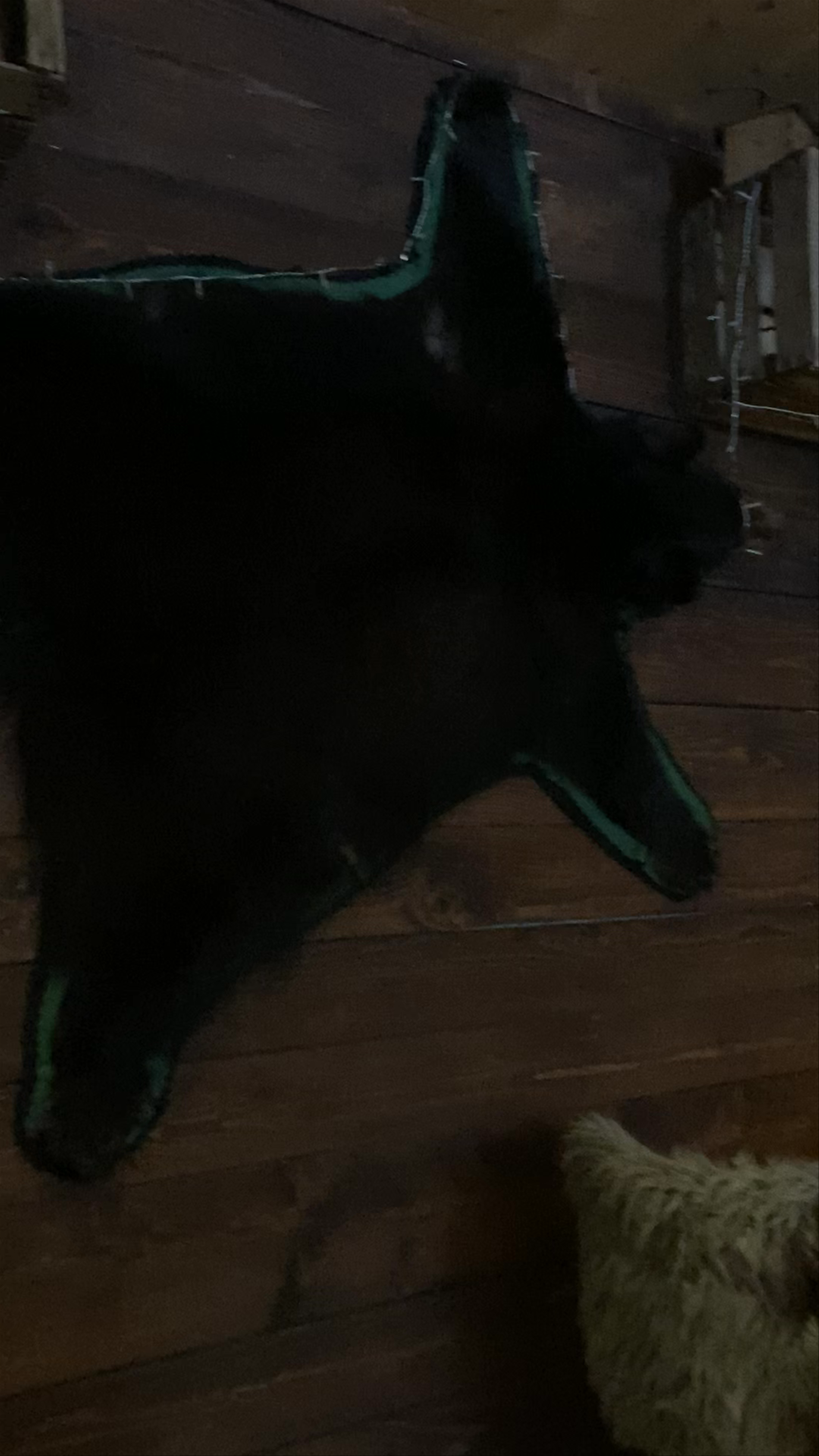 Restaurant Bar d'ambiance Le Dérapage