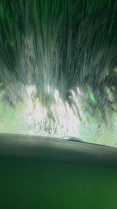 Wild Wild Wash - Car Wash Near Me - Reno, Nevada
