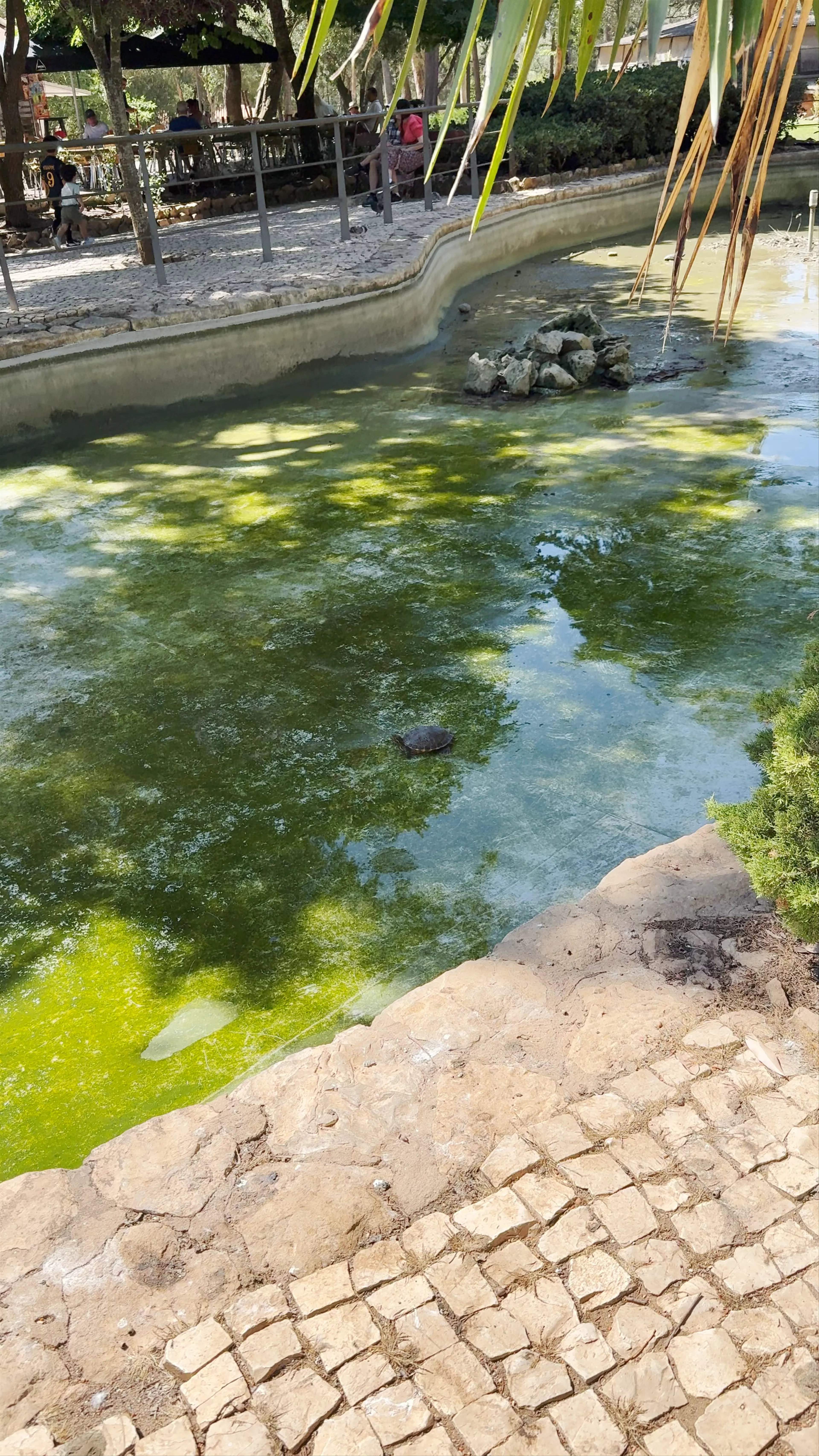 Parque Marechal Carmona