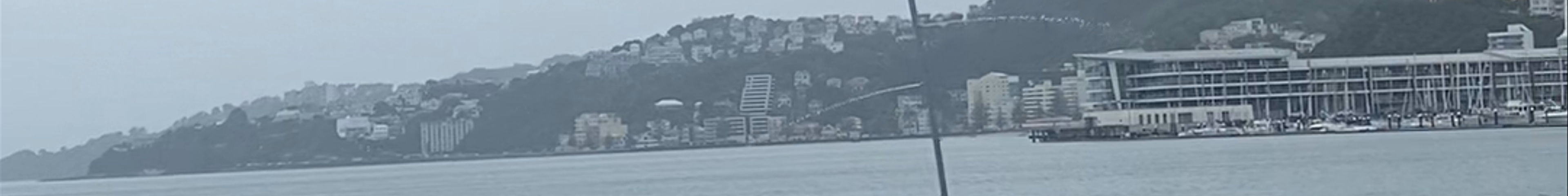 Tours & experiences in Wellington