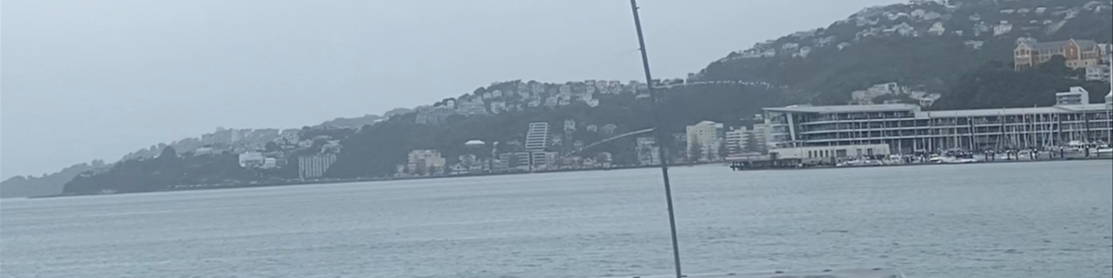 Wellington