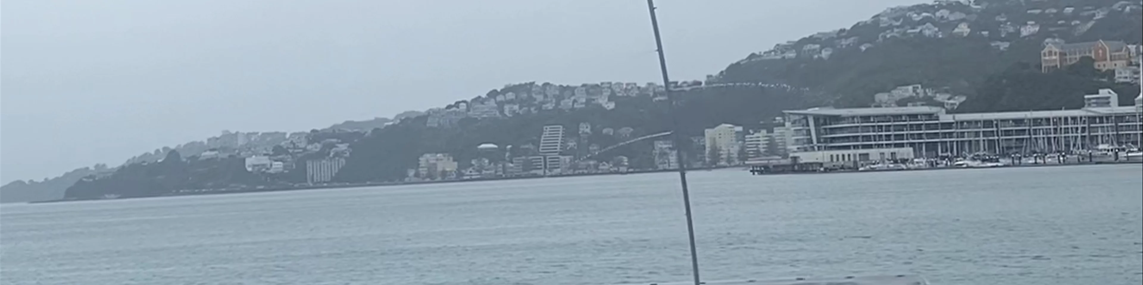 Len Lye: Water Whirler Jervois Quay