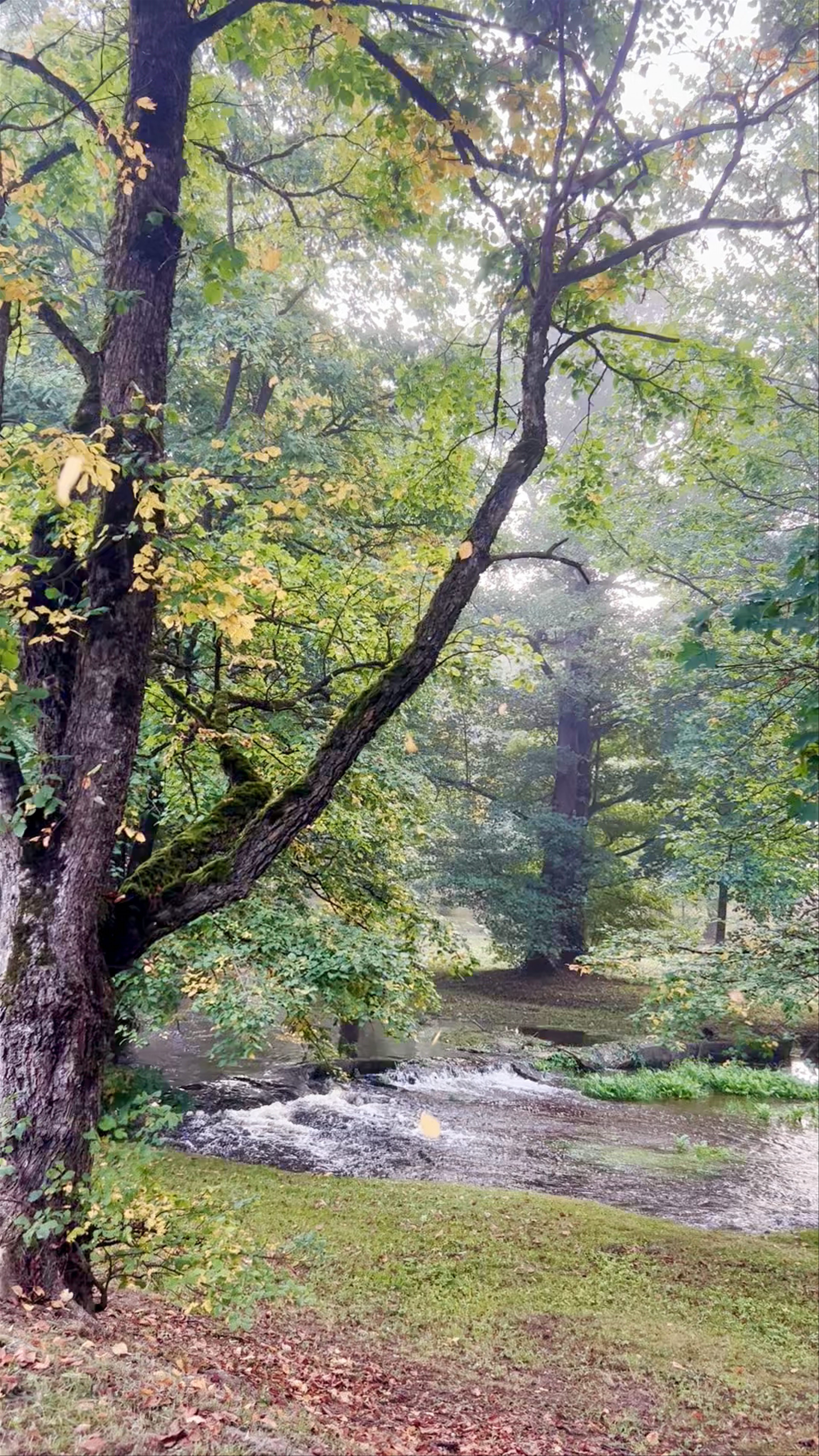 Kalnsētas Park: Serene Nature Escape in Saldus, Latvia
