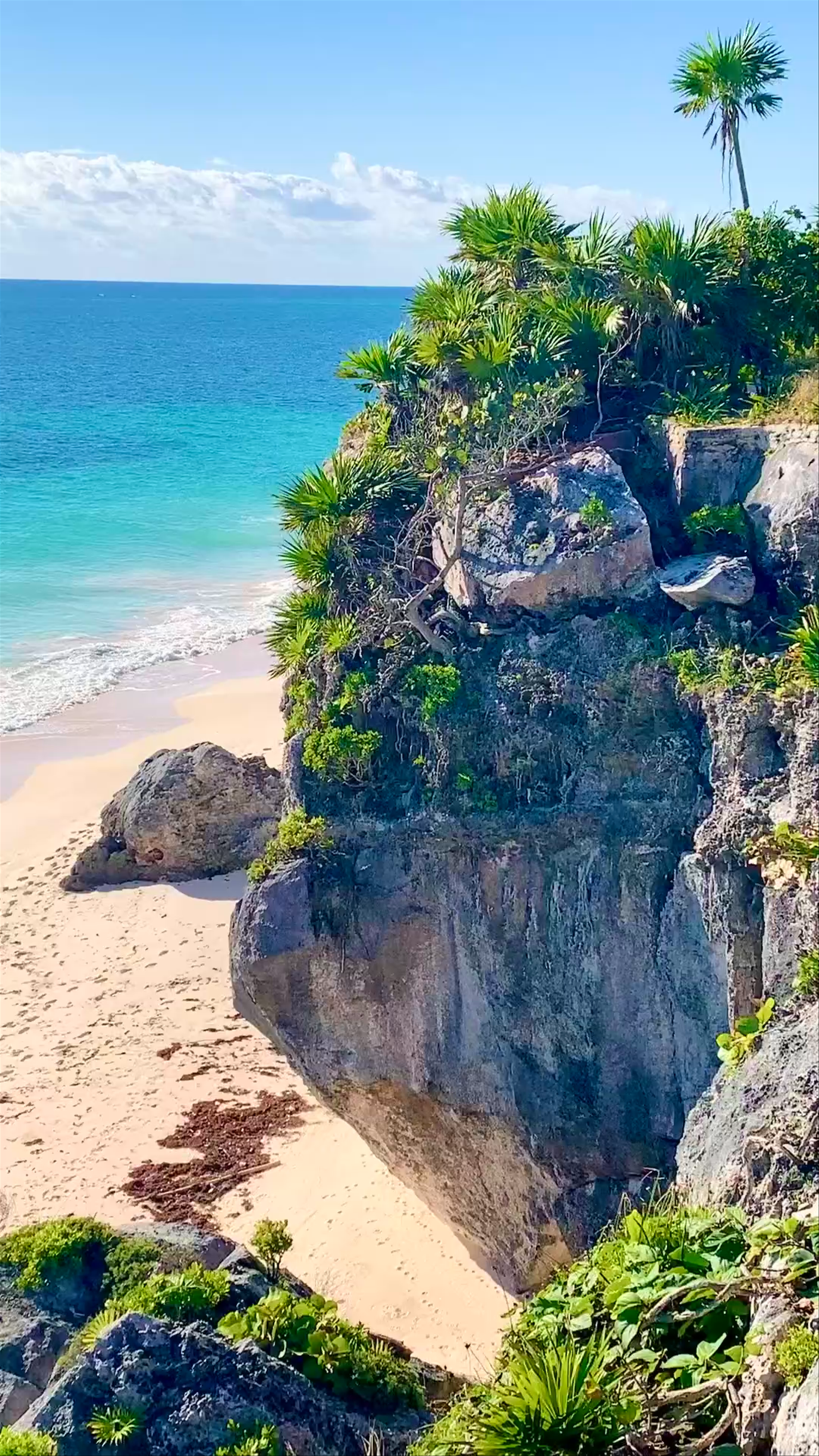 Tulum Jungle Gym