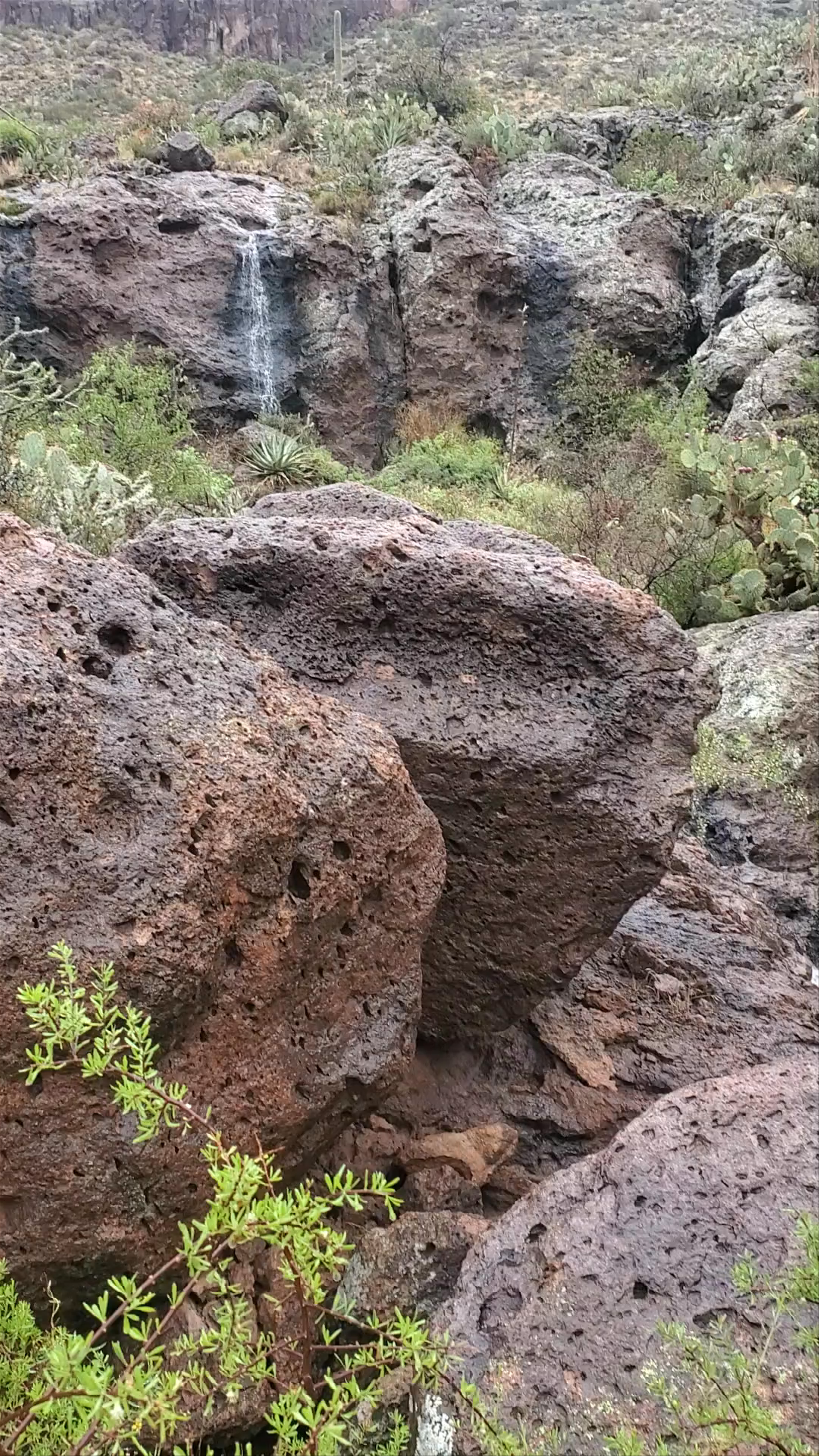 Hieroglyphic Trailhead